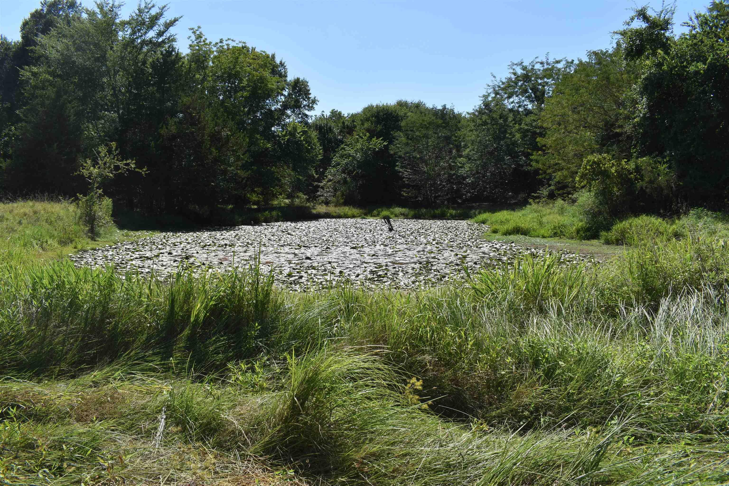 Metes & Bounds - Farm