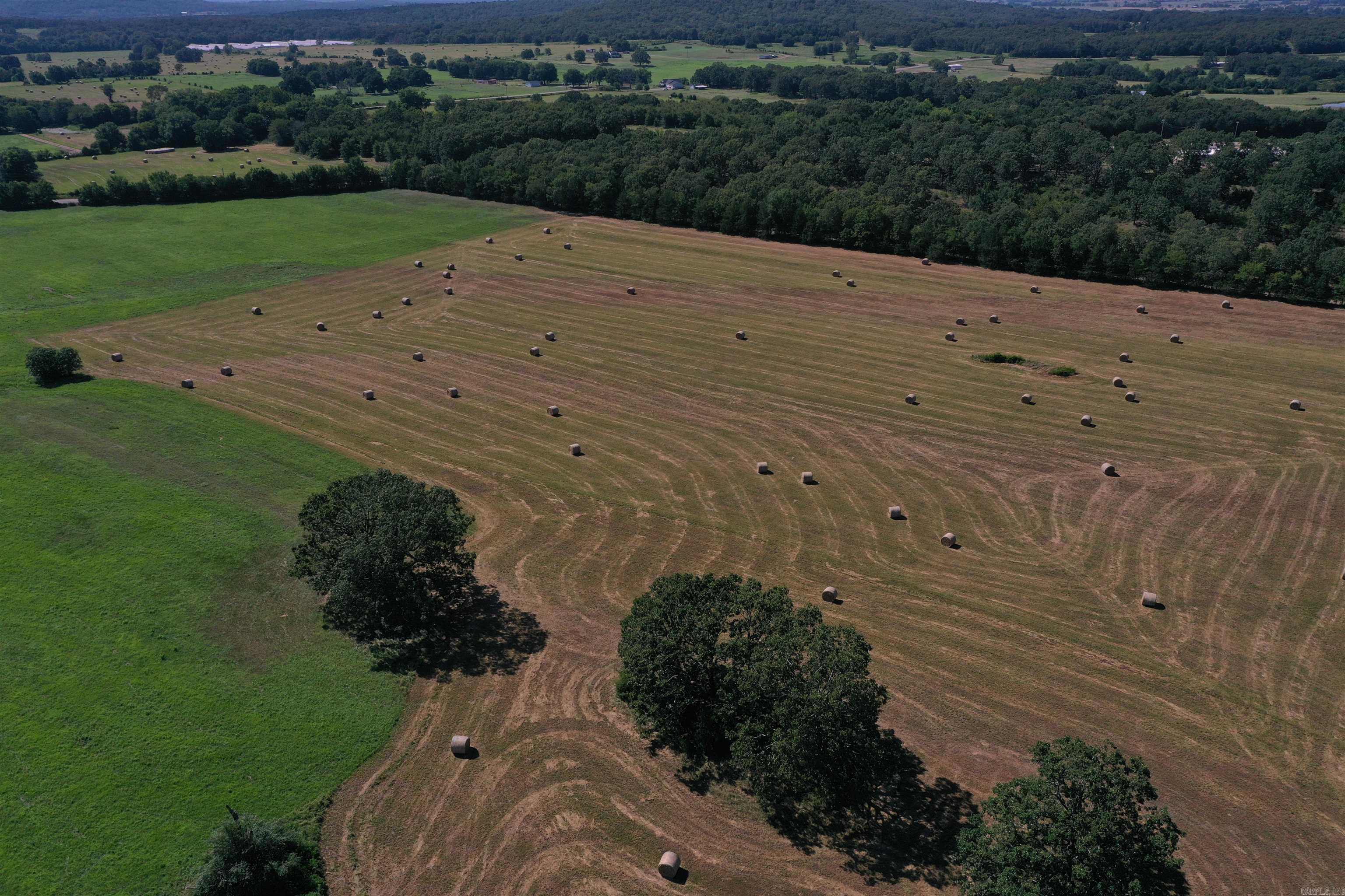 Metes & Bounds - Farm