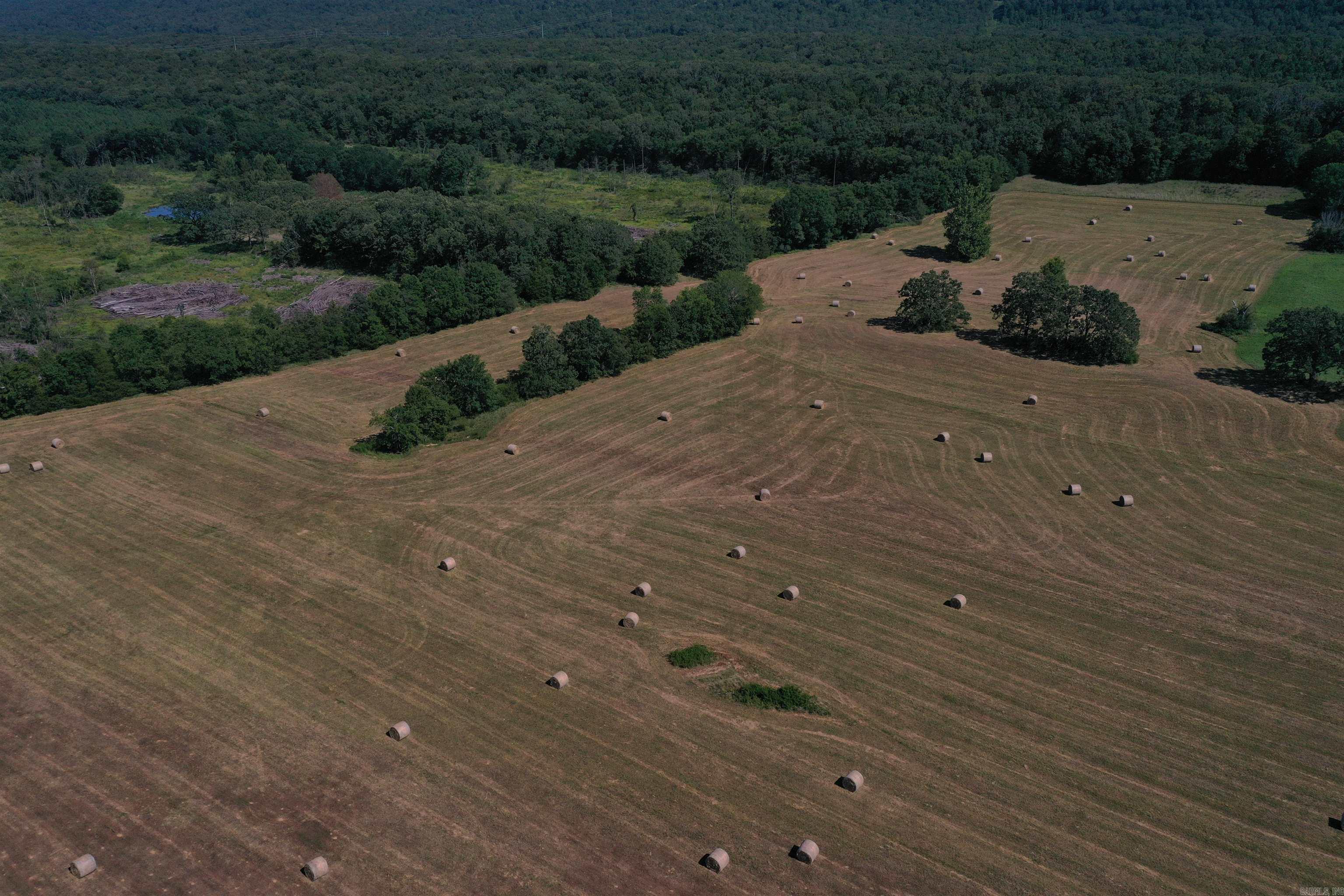 Metes & Bounds - Farm