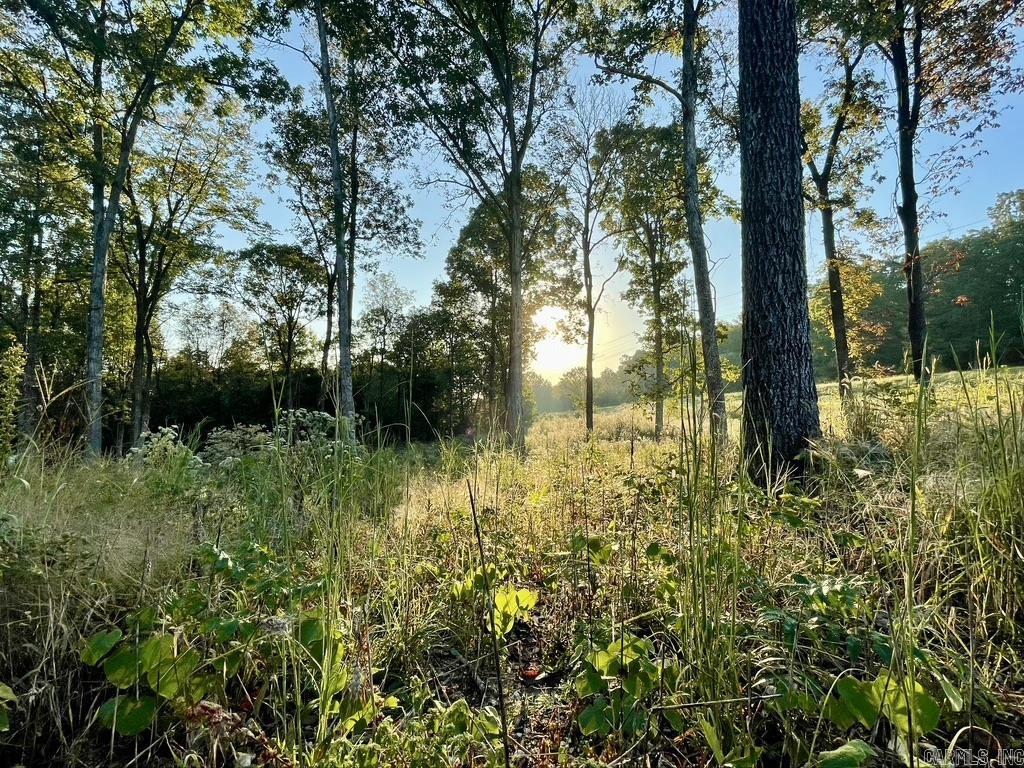 Randolph County - Land