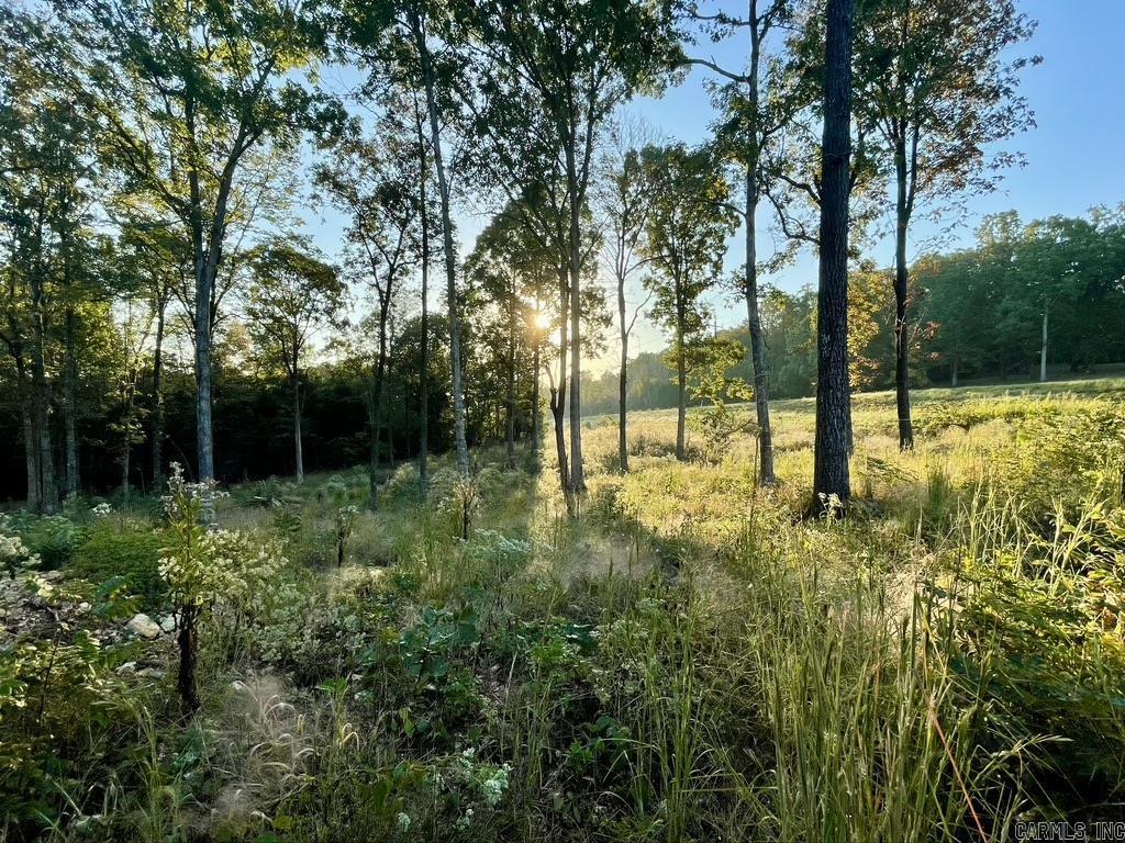 Randolph County - Land