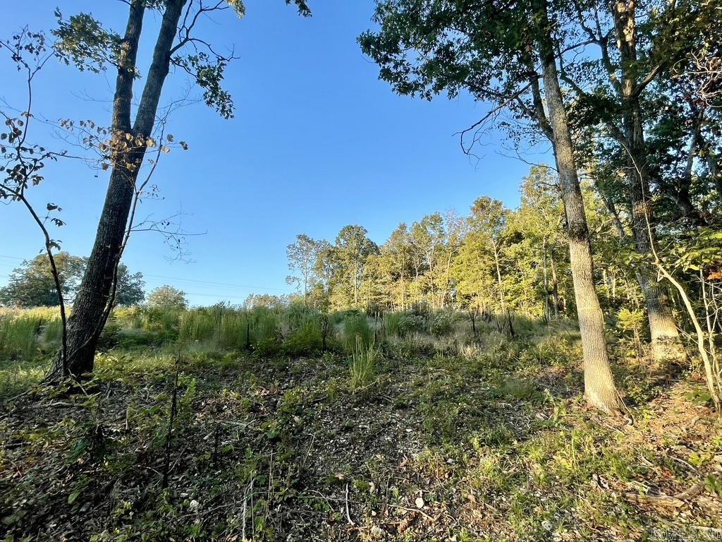 Randolph County - Land