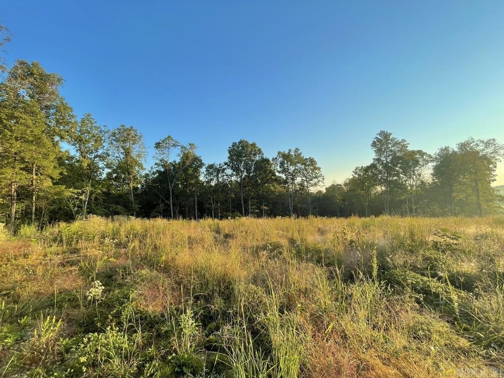 Randolph County - Land