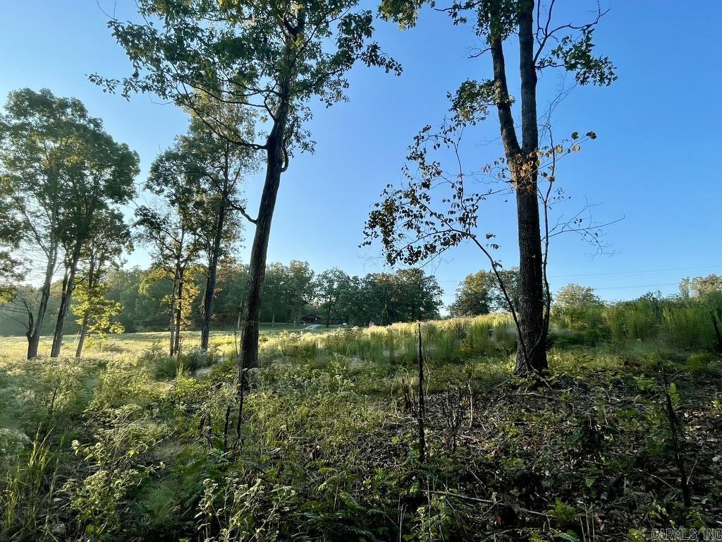 Randolph County - Land