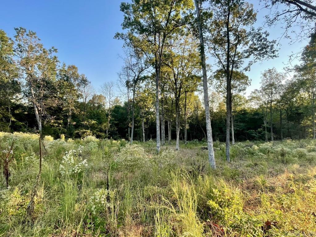 Randolph County - Land