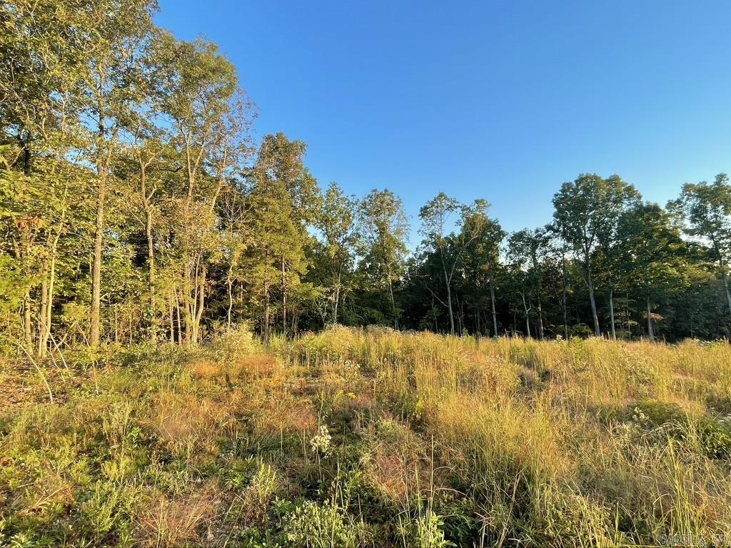 Randolph County - Land