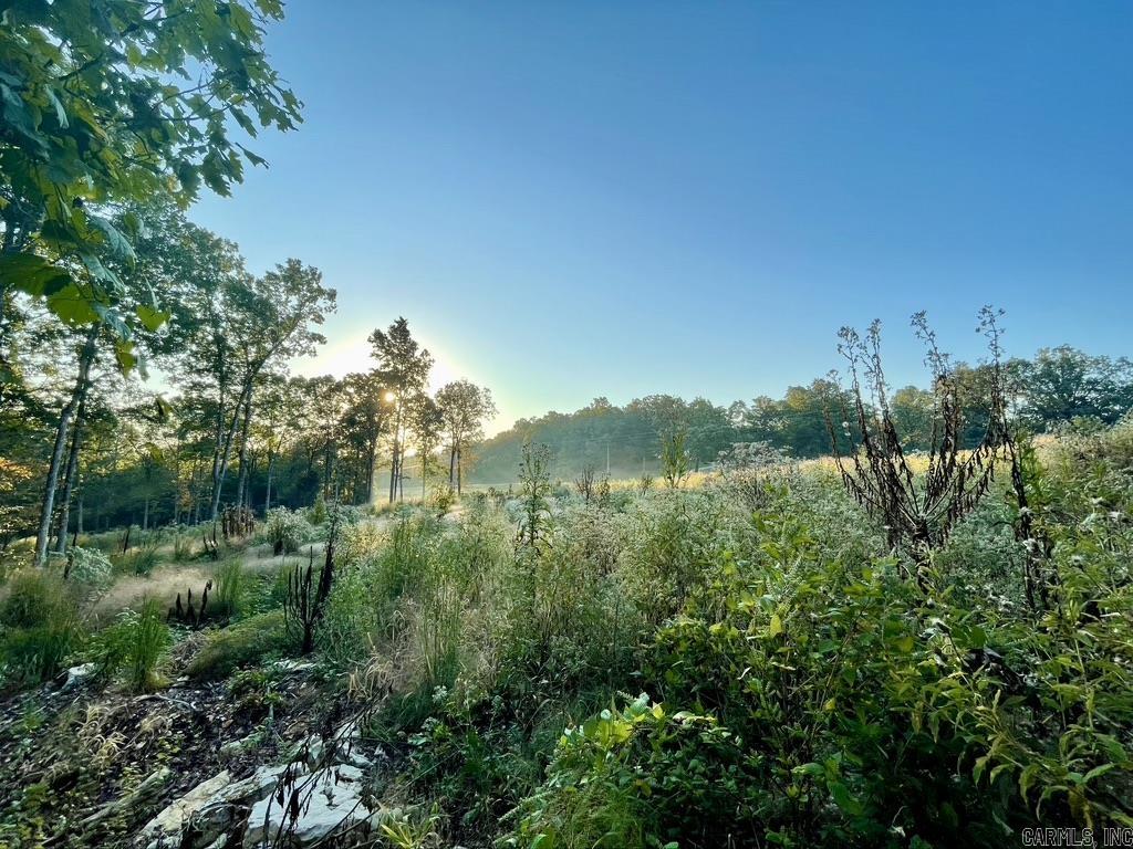 Randolph County - Land