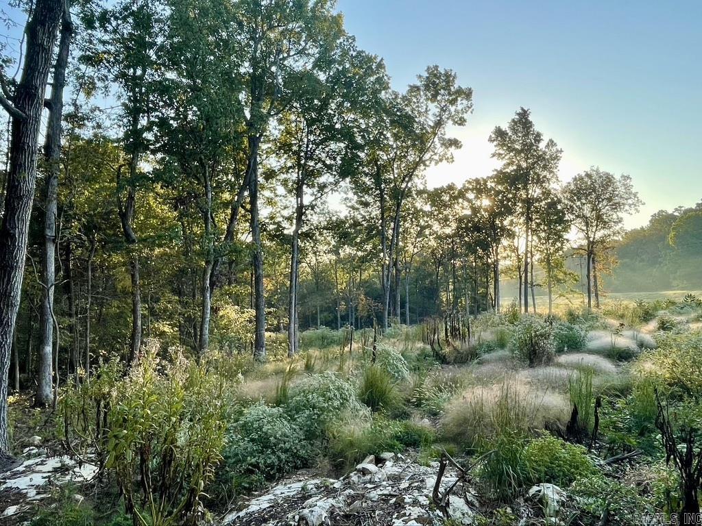 Randolph County - Land