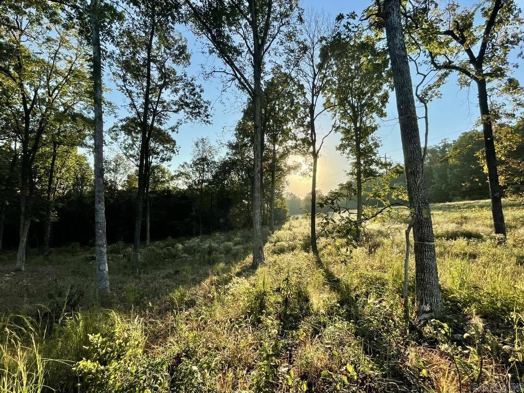 Randolph County - Land