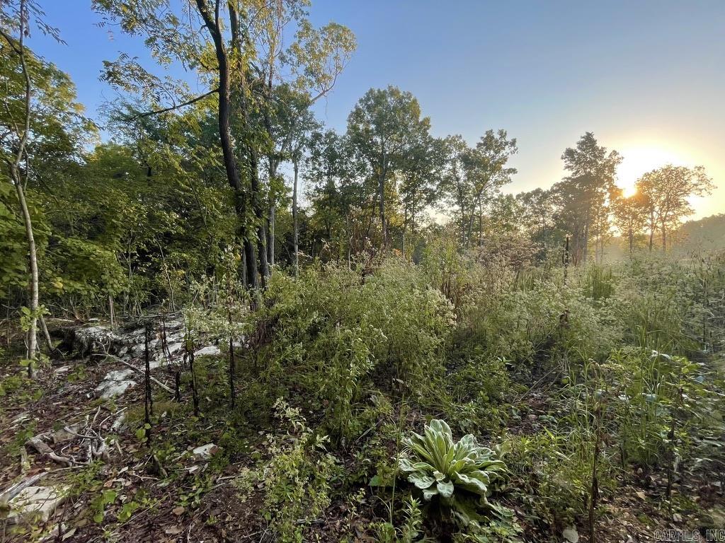 Randolph County - Land