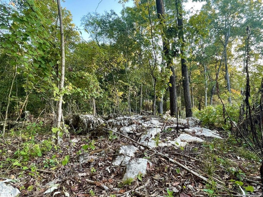 Randolph County - Land