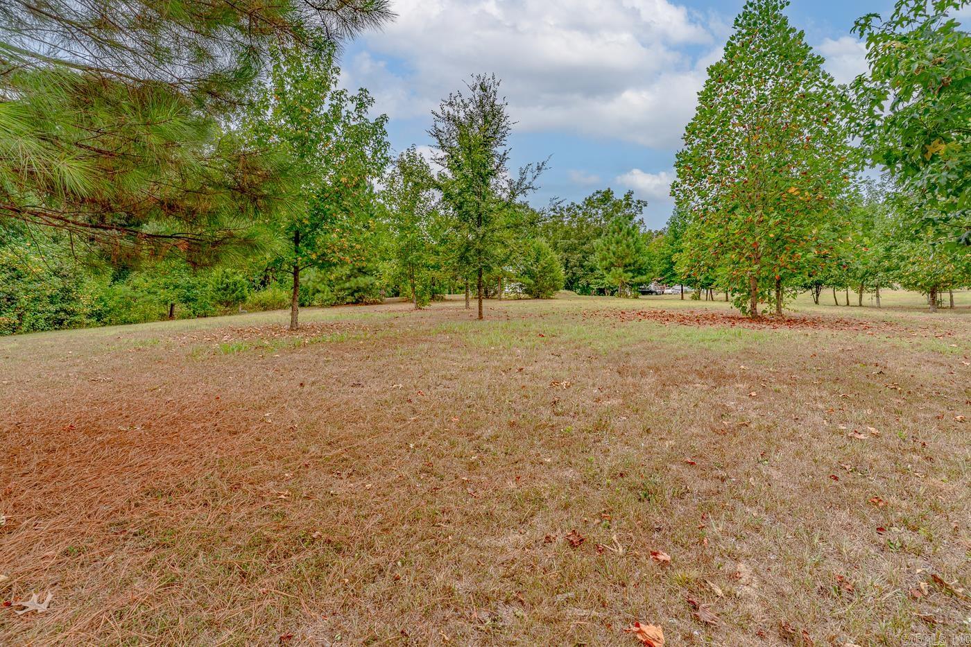 MAYNARD ACREAGE - Residential