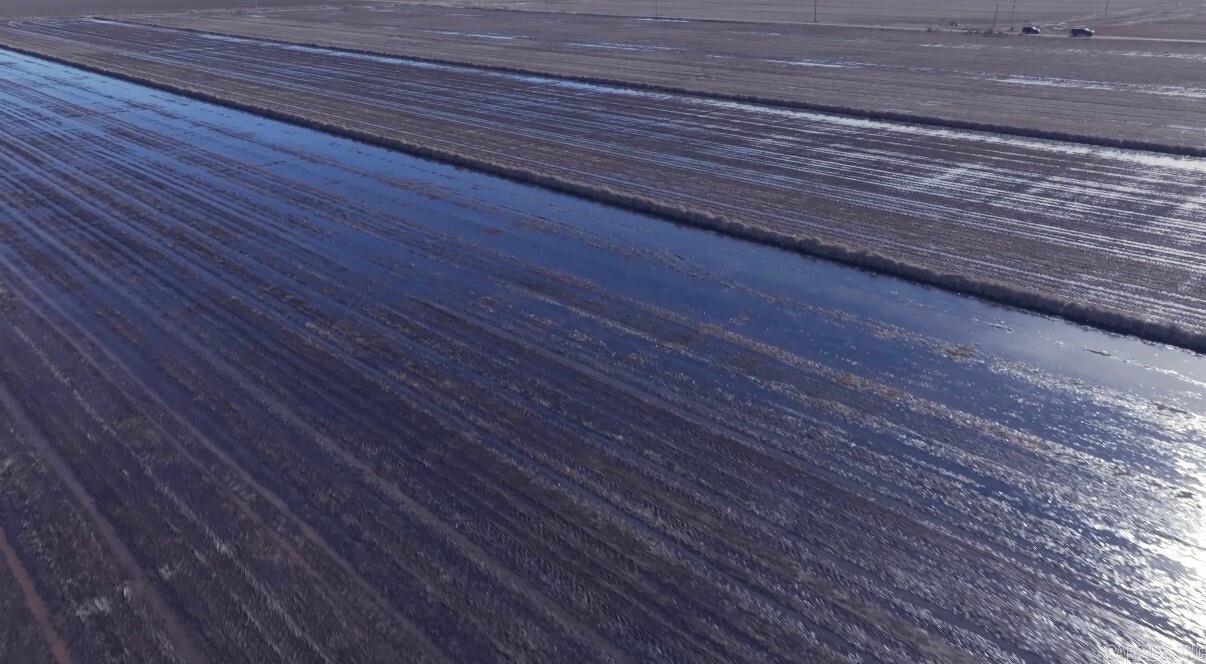 Metes & Bounds - Farm