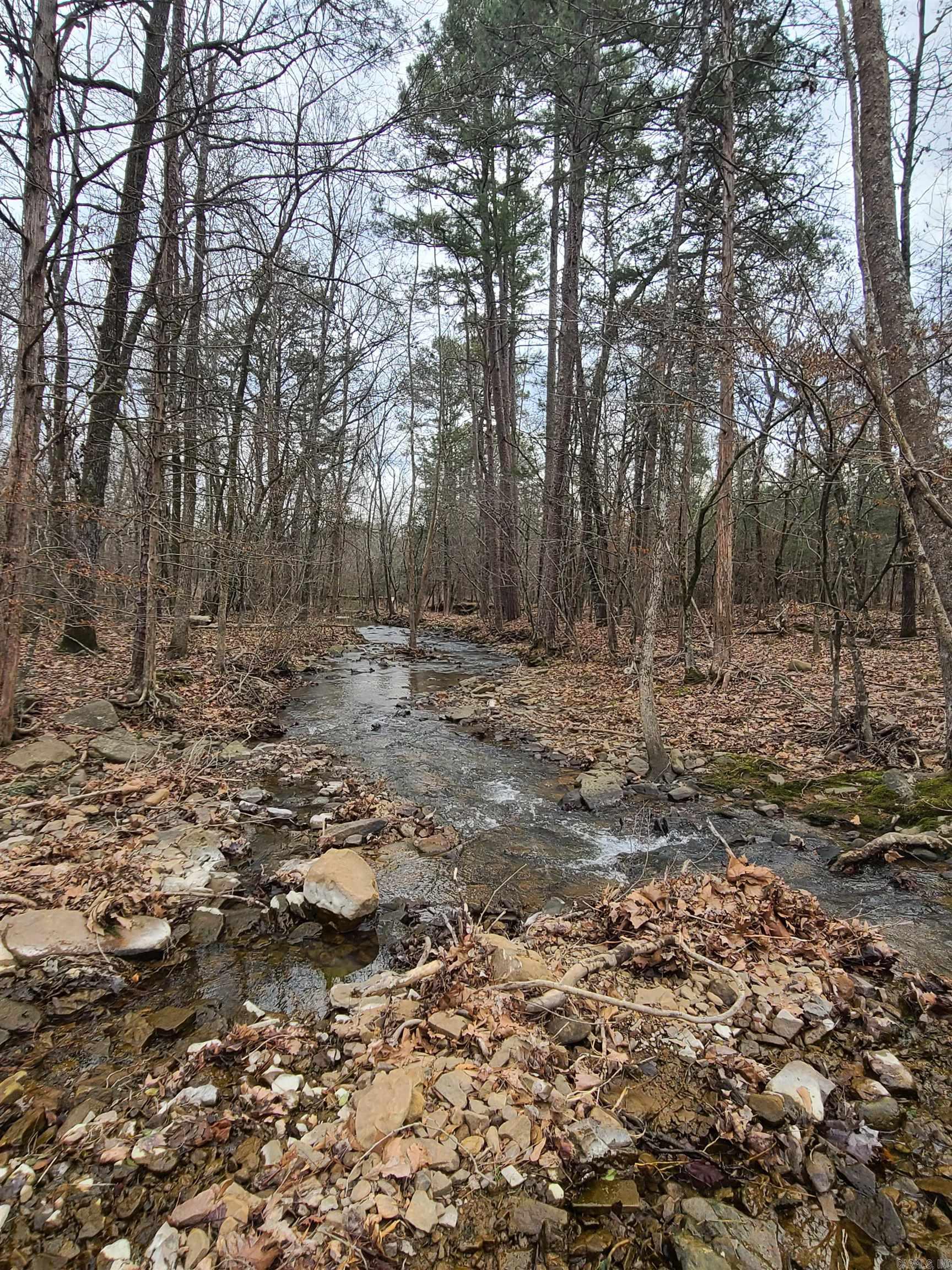 HARD TO FIND 3 AC, NO RESTRICTIONS, HAS A BEAUTIFUL WET WEATHER CREEK ON IT, PART IS IN A FLOOD ZONE, IT HAS BEEN PERKED AND SURVEYED. Wooded and cleared.
