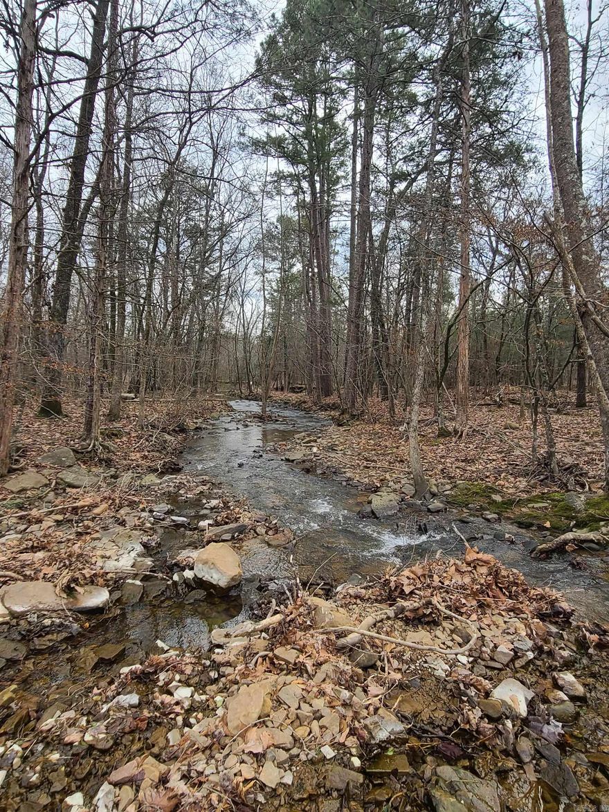 HARD TO FIND 3 AC, NO RESTRICTIONS, HAS A BEAUTIFUL WET WEATHER CREEK ON IT, PART IS IN A FLOOD ZONE, IT HAS BEEN PERKED AND SURVEYED. Wooded and cleared.