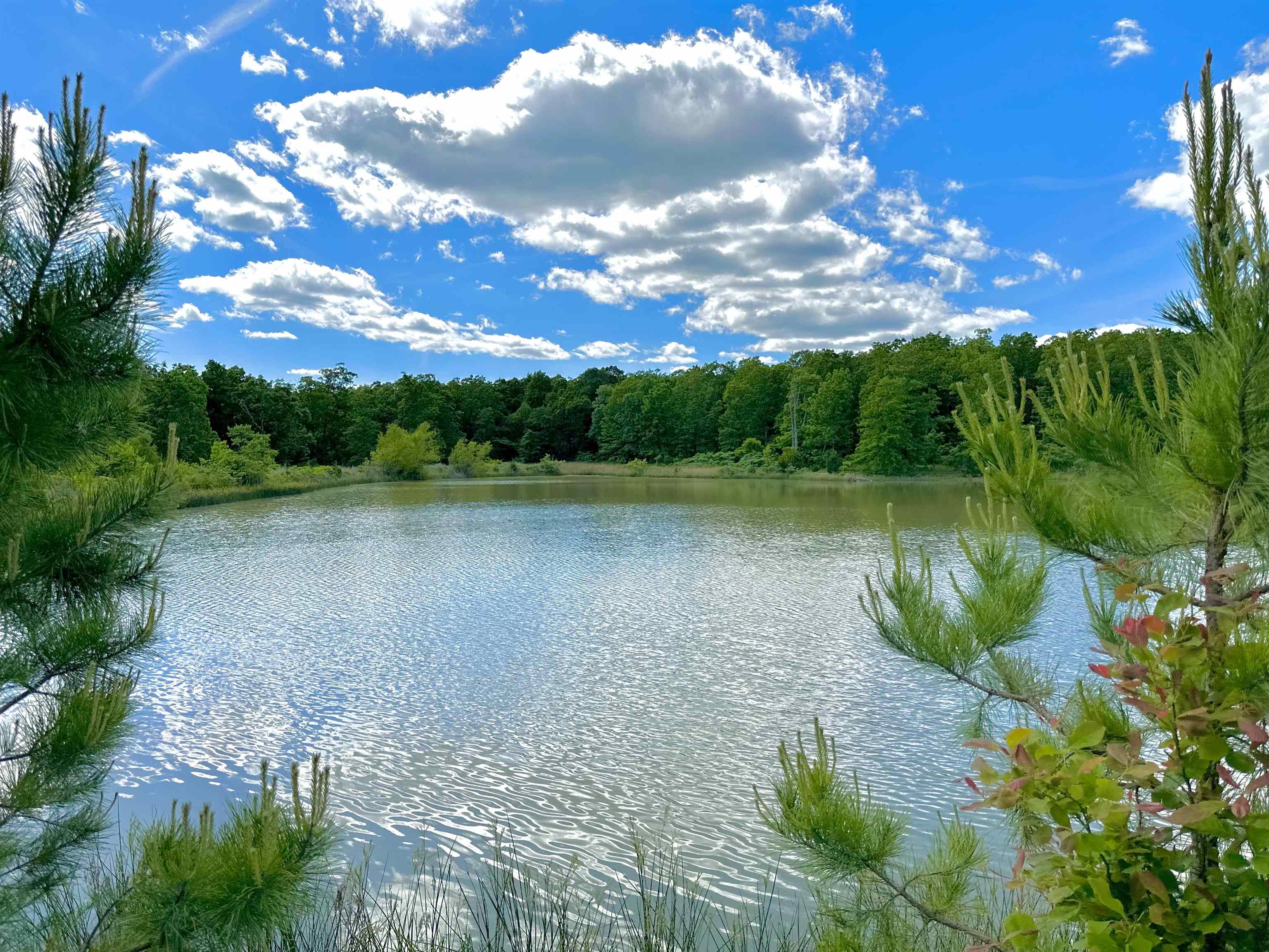 BLACK BEAR BLUFF - Residential