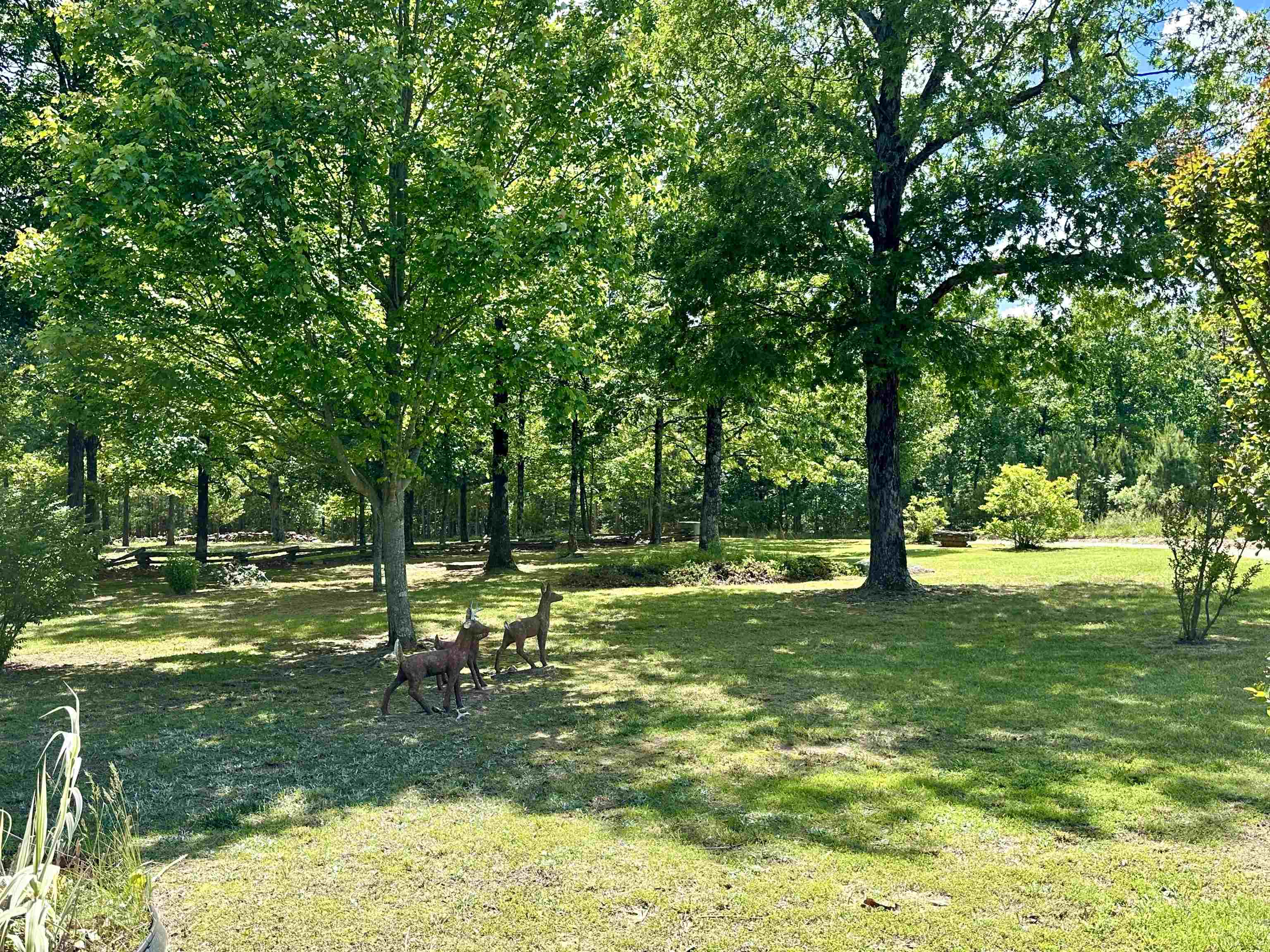 BLACK BEAR BLUFF - Residential