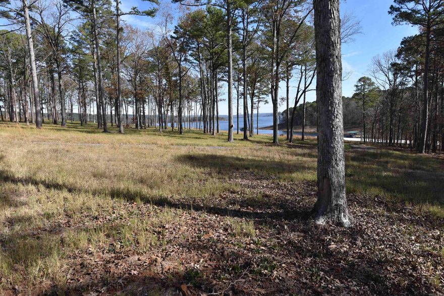 Lakefront lot in Sunnyside of the Bay subdivision of Fairfield Bay! A boat slip nearby is availalbe to purchase for $35,000. This lot has a gentle slope to the water—imagine waking each morning to breathtaking water views & enjoying the peace & privacy this location offers.  Underground utilities are available for power & fiber internet.  Enjoy All Fairfield Bay Has to Offer: Championship Golf: Two 18-hole courses just minutes away. Active Lifestyle: Pickleball, tennis courts, and more than 80 miles of ATV/UTV trails. Full-Service Marina, Swim, hike, bike, & so much more. Fairfield Bay truly is a slice of paradise! Build your forever home or a serene getaway in a welcoming, upscale neighborhood. This is your chance to experience lakefront living at its finest—where tranquility & recreation meet luxury and convenience. Paradise is calling.