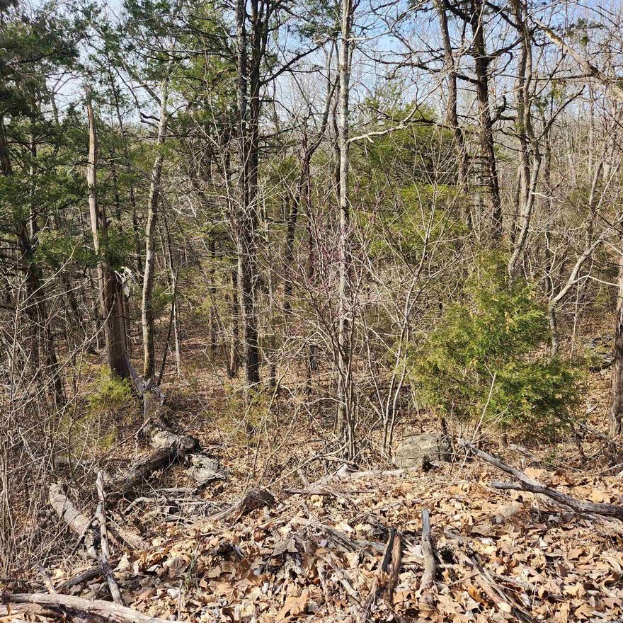 This is a downhill lot, located in a Cul-De-Sac on the North side of the village. This is a nice, wooded lot just waiting for you to come pick the spot you want to build your dream home on. With property ownership comes access to all the amenities of Cherokee Village. 7 Lakes, 2 Golf courses, 2 recreational centers and don't forget about the beautiful Southfork River that meanders right through Cherokee Village.