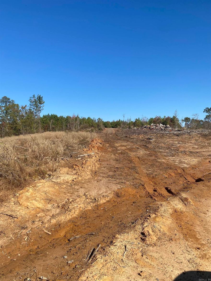 Most of the merchantable timber was harvested but there is approximately 65 acres of young pine plantation along the road on the north side of the tract that is approaching thinning age. Also numerous SMZ's exist containing good mature pin and hardwood. Numerous building sites exist on the property. Tract is well suited for timber production and or possible cattle farm with numerous farms in the area. Good hunting and recreational opportunity exists. Bois D'arc WMA is very nearby. This tract has 3/4 mile of good county road frontage along with rural water and electric.