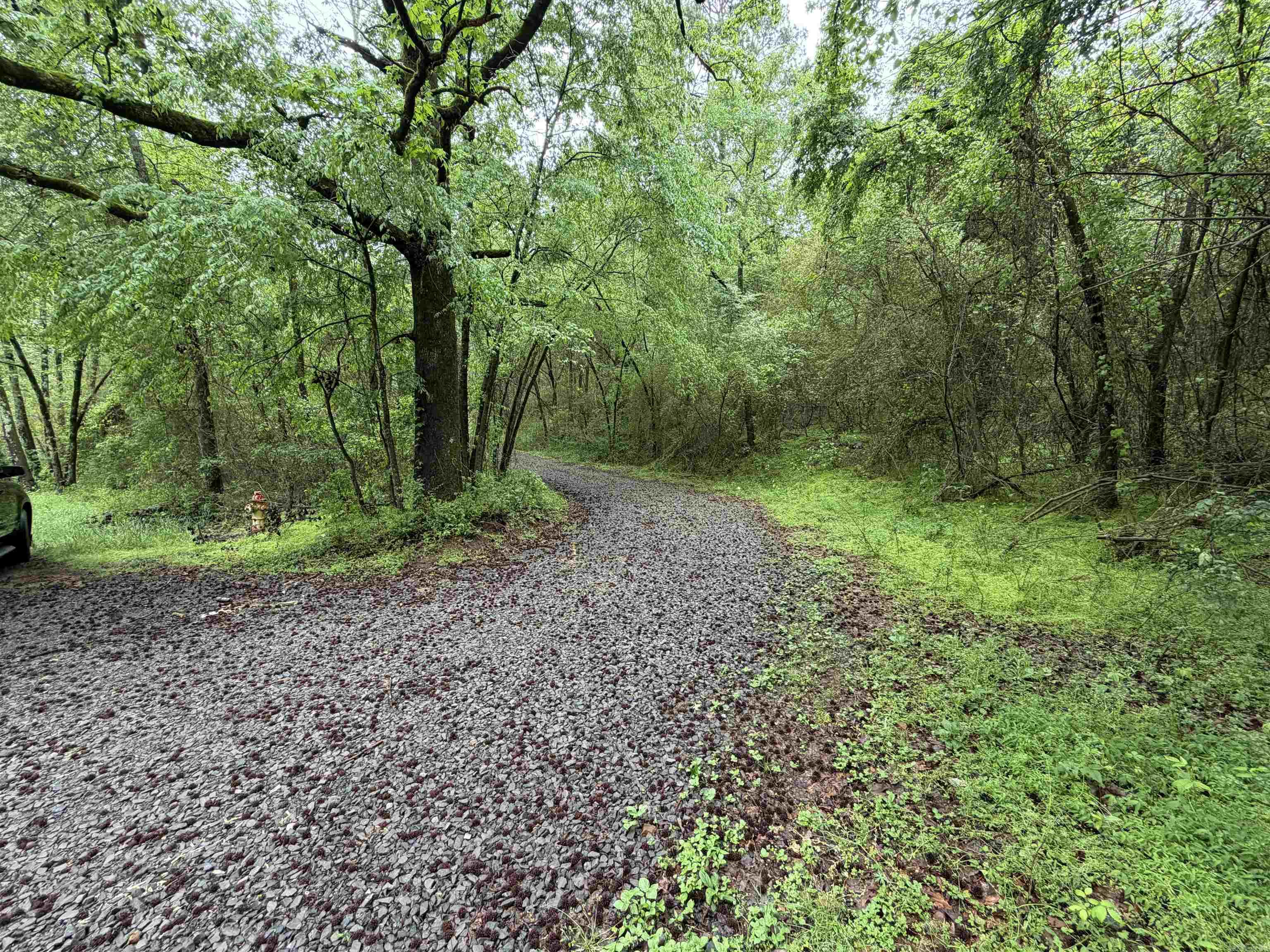 City of Ozark - Land