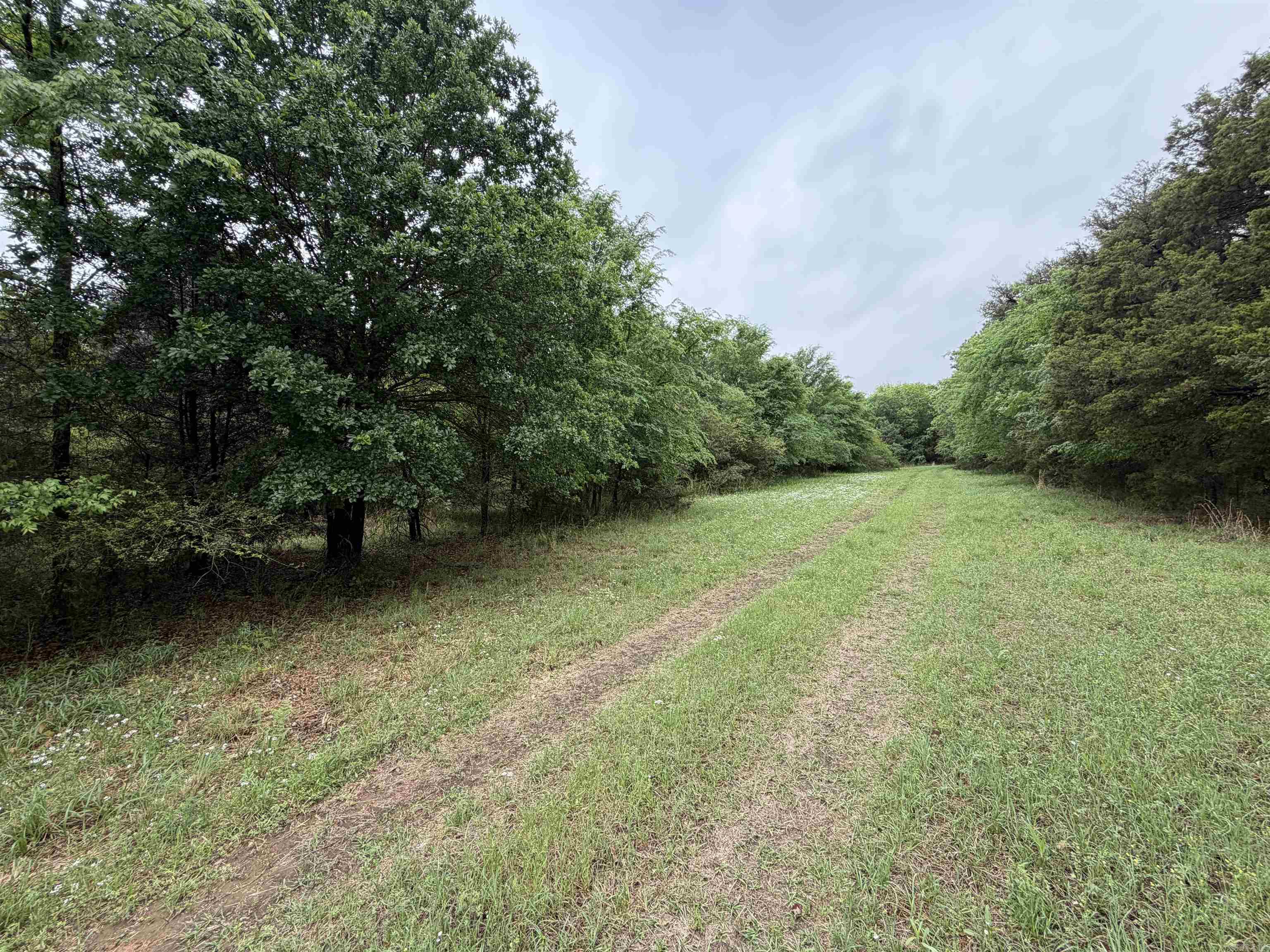 City of Ozark - Land