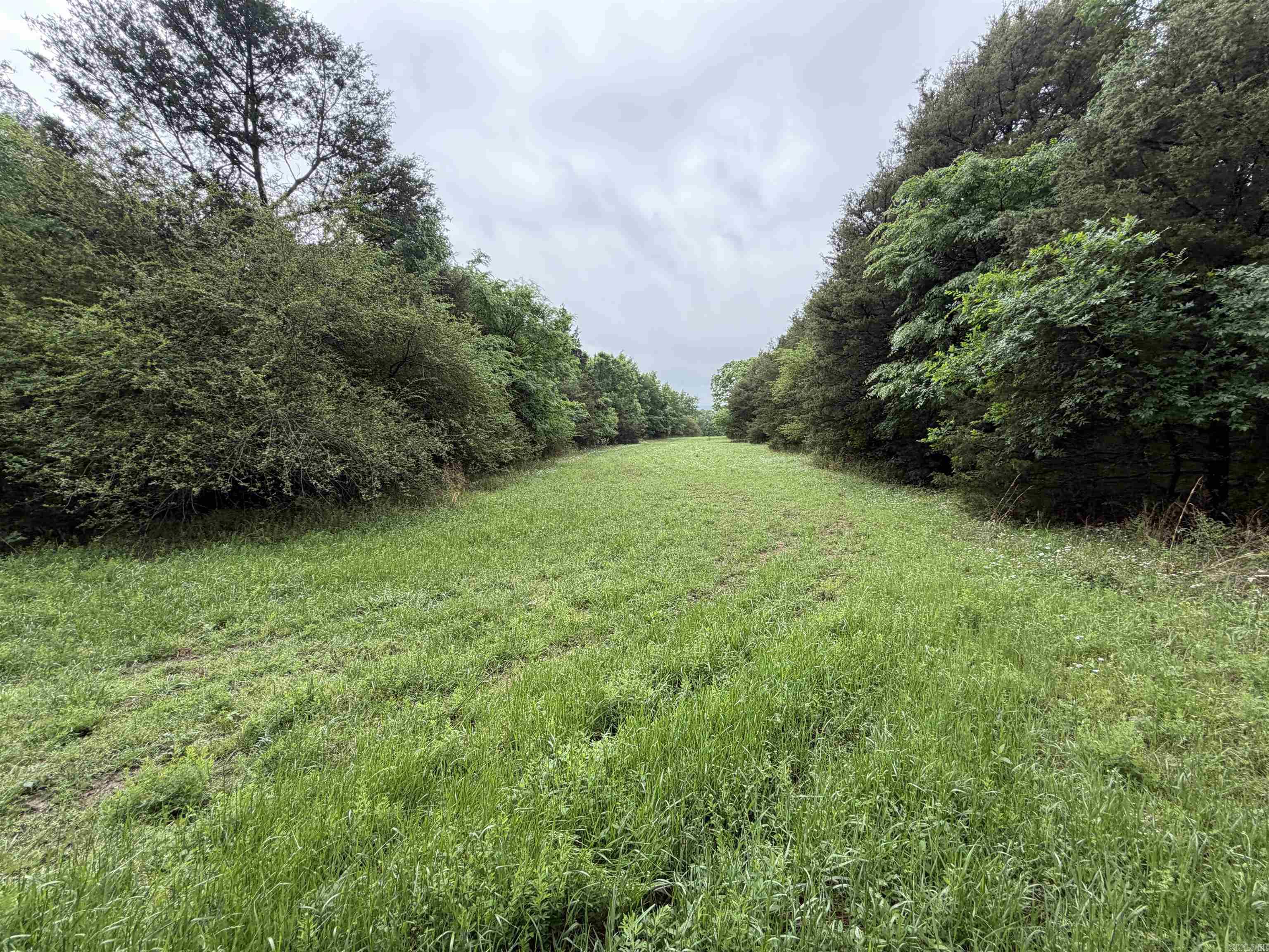 City of Ozark - Land