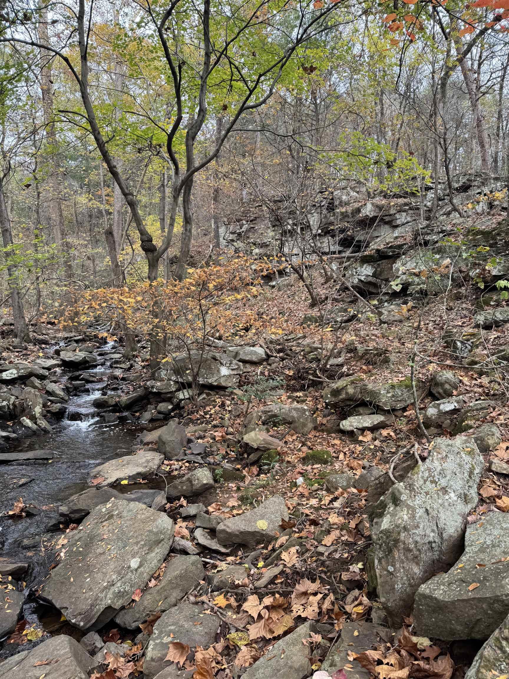 City of Ozark - Land