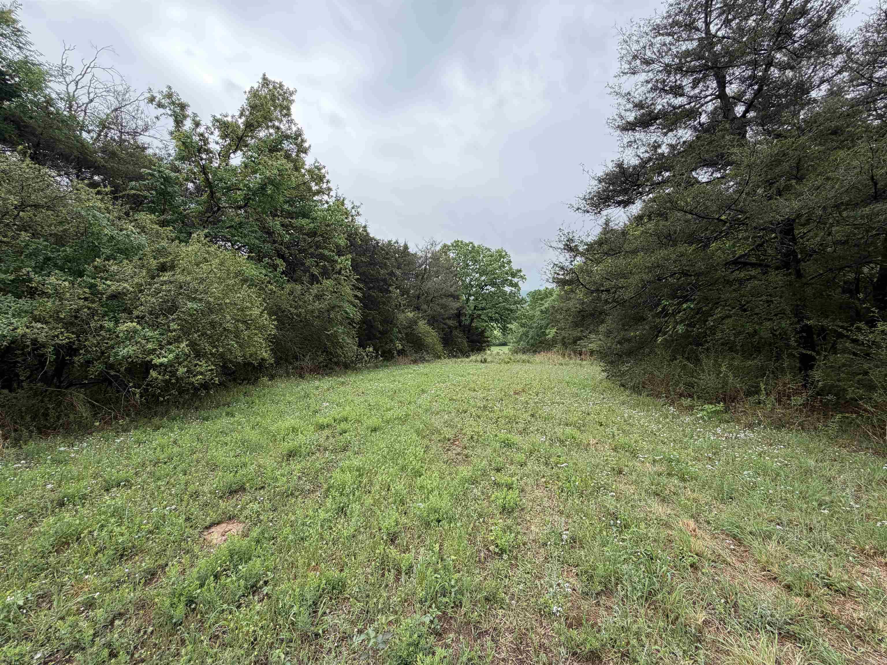 City of Ozark - Land