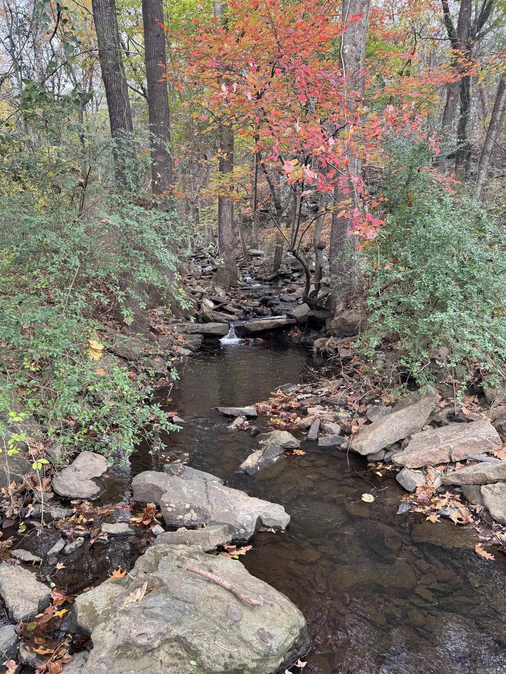 City of Ozark - Land