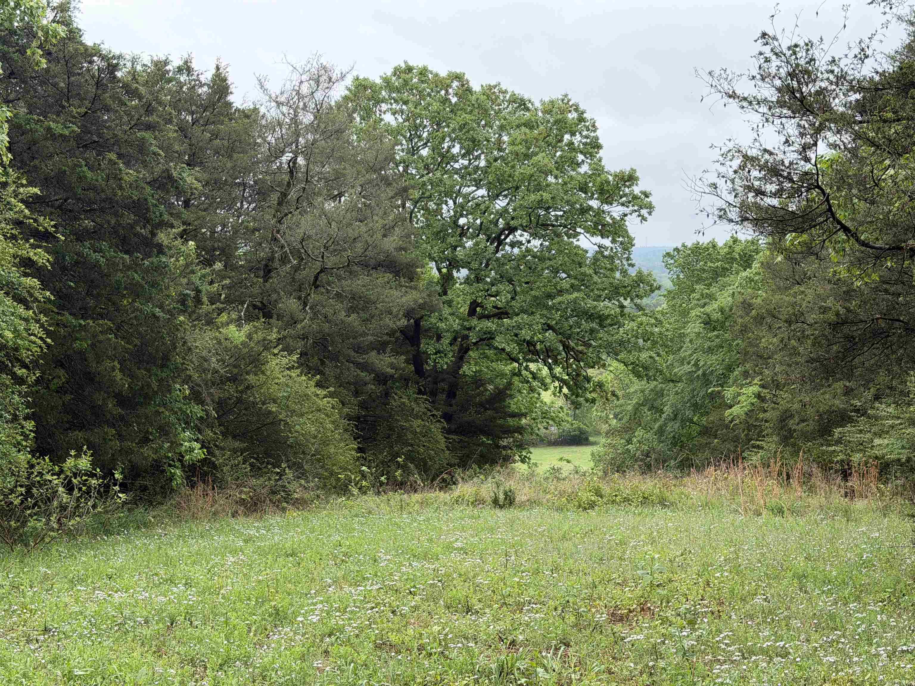 City of Ozark - Land