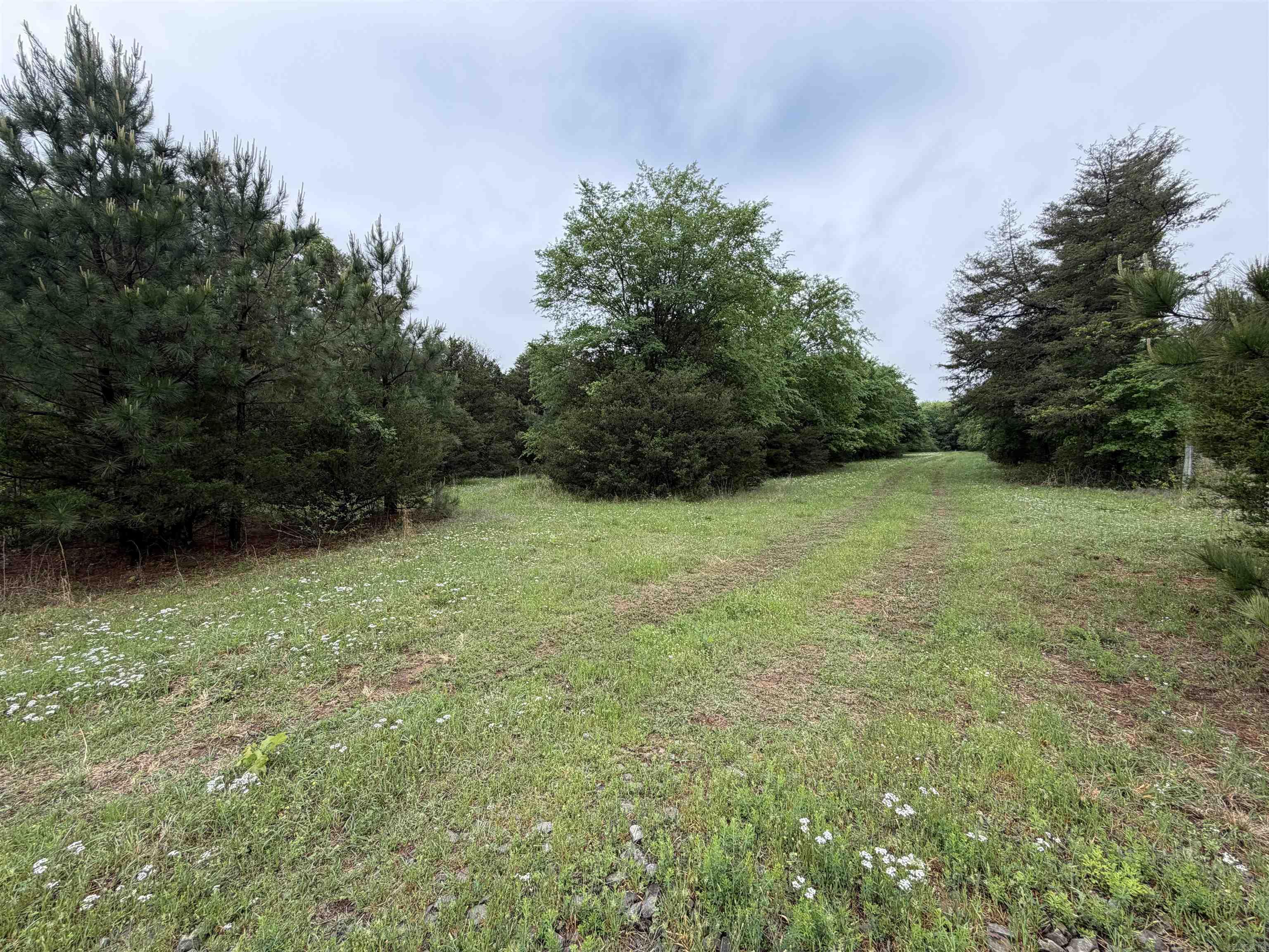 City of Ozark - Land