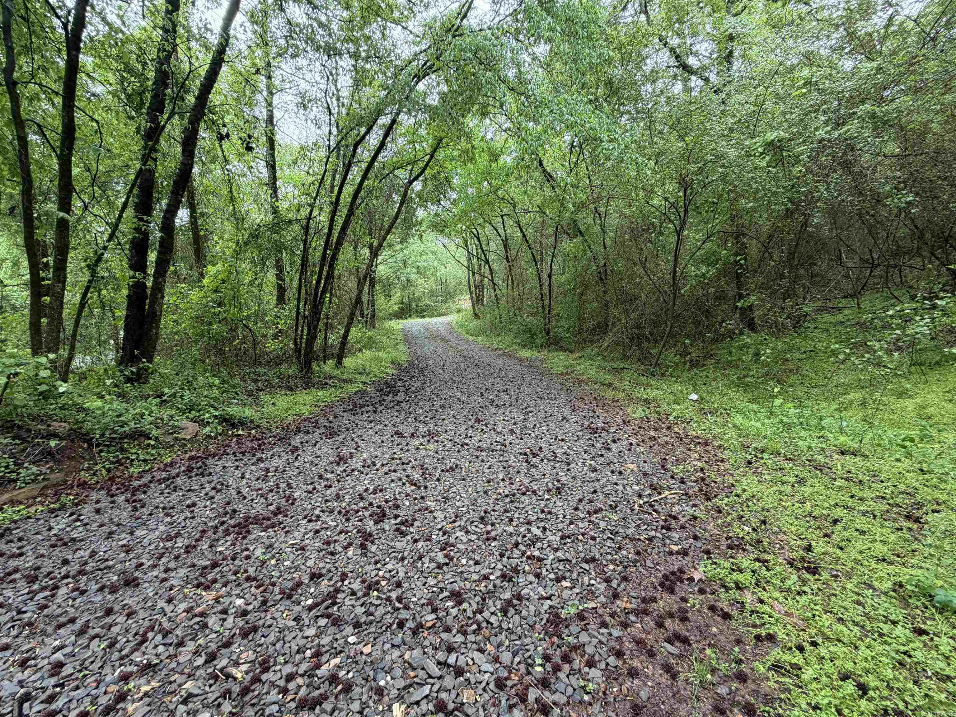 City of Ozark - Land