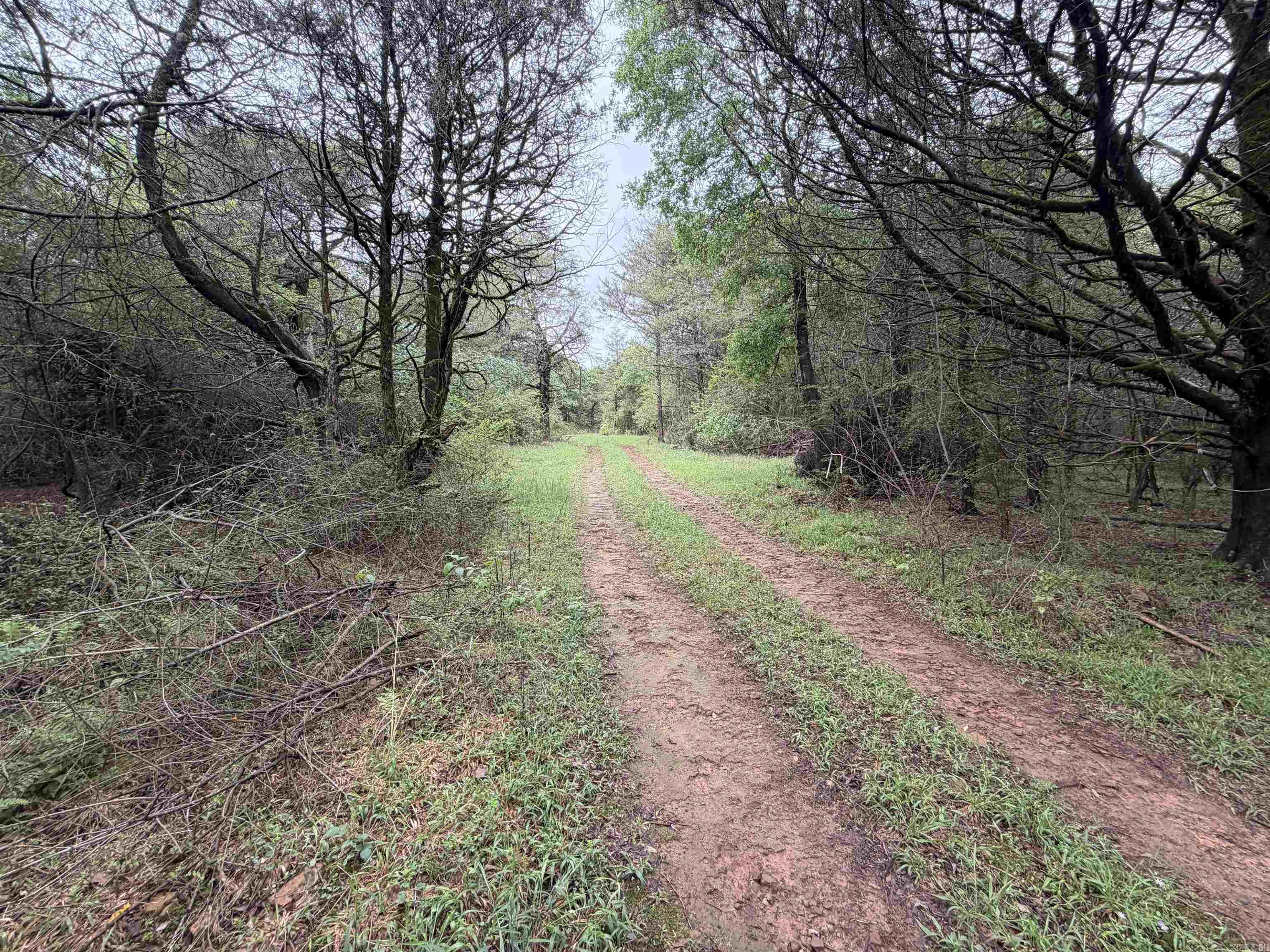 City of Ozark - Land