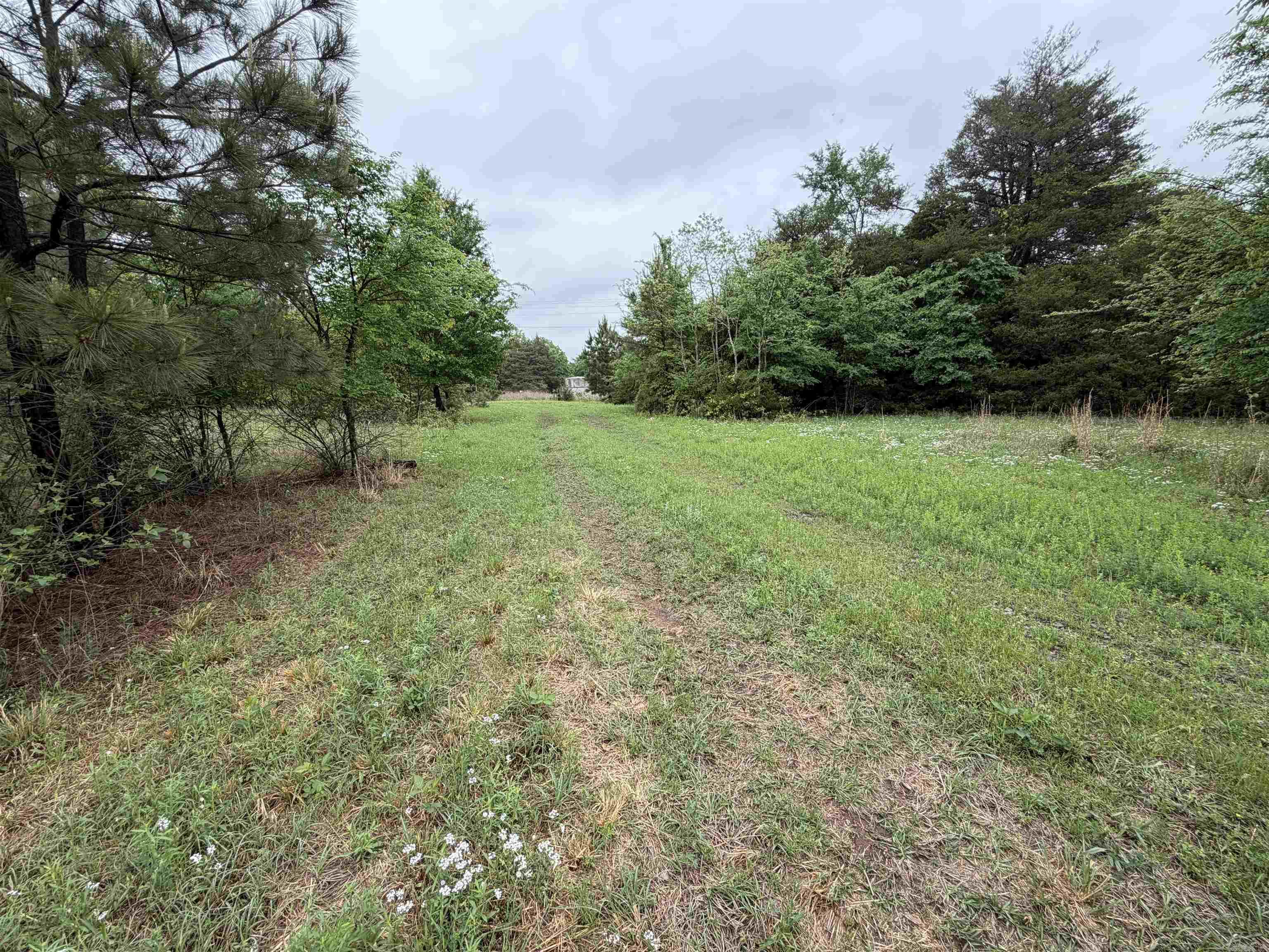 City of Ozark - Land