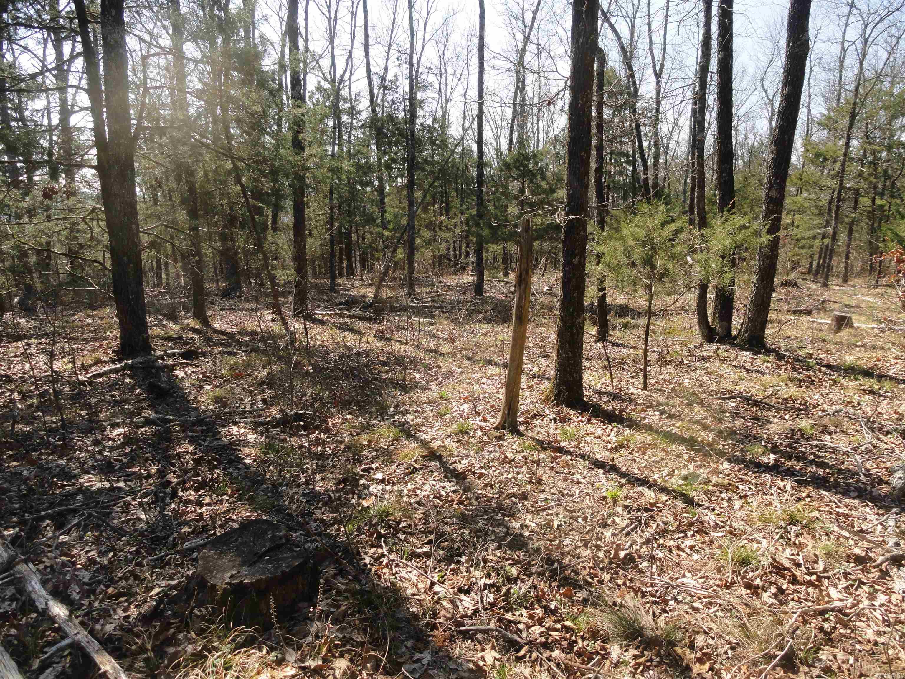 Metes & Bounds - Land