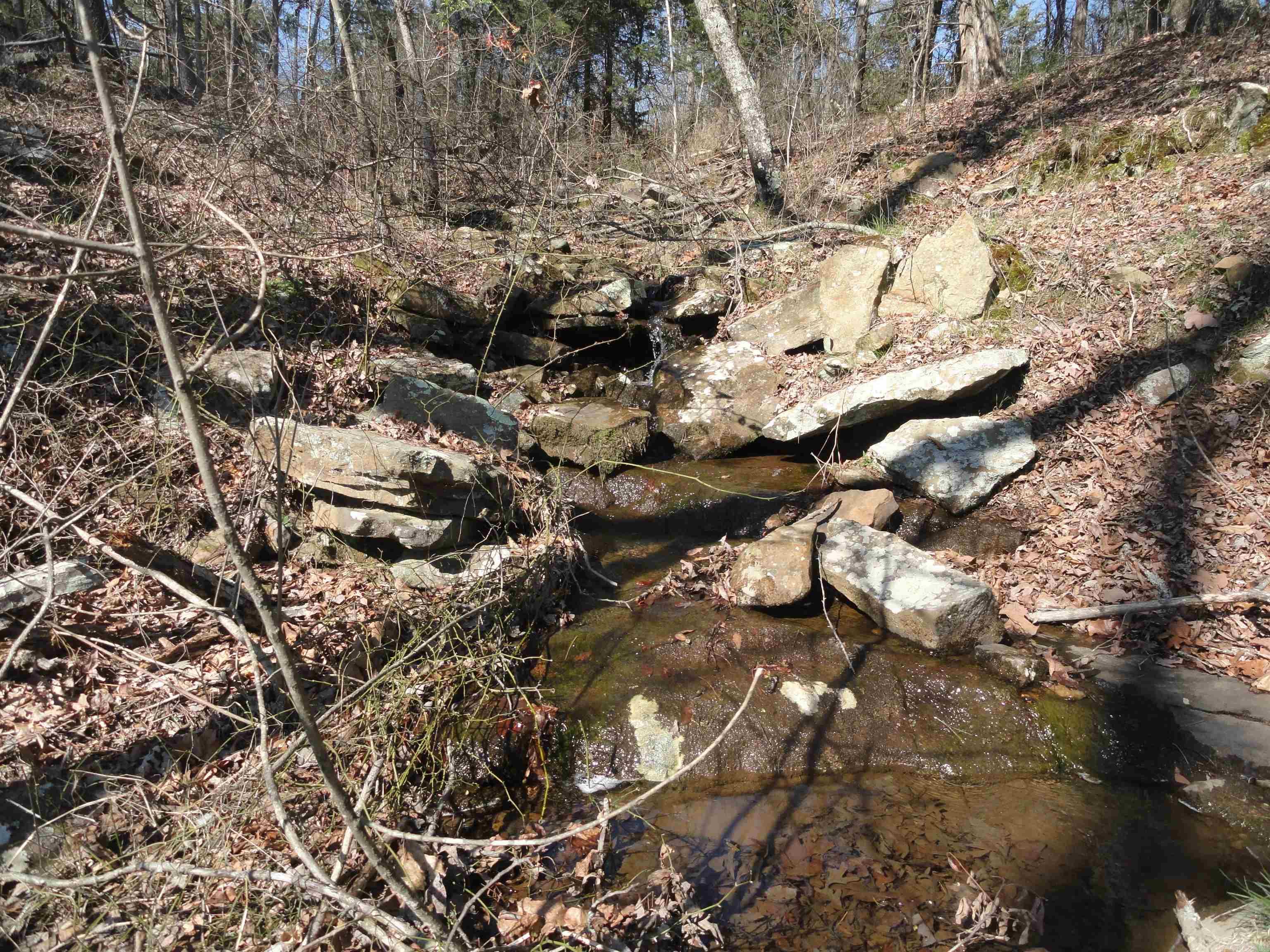 Metes & Bounds - Land