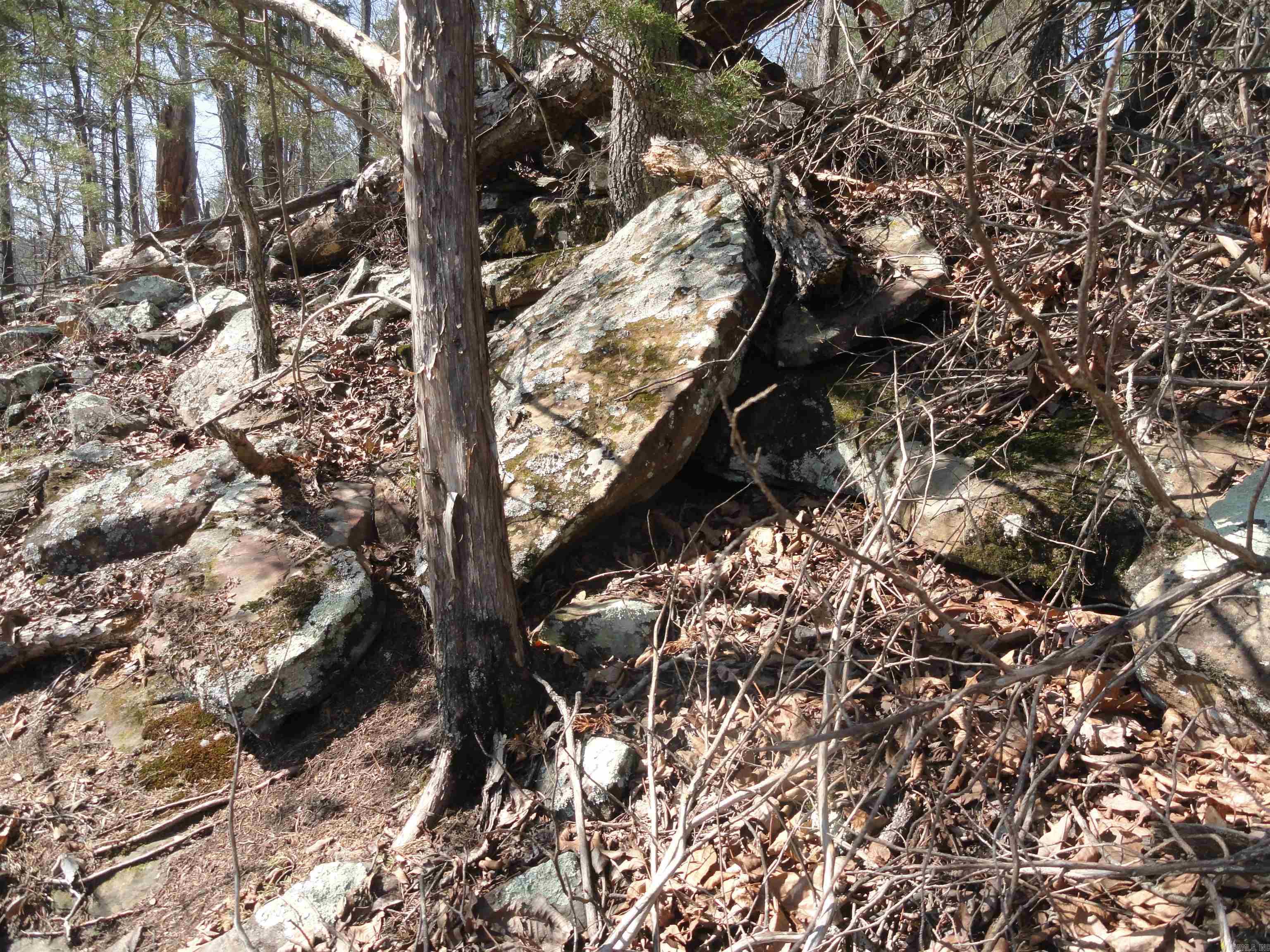 Metes & Bounds - Land