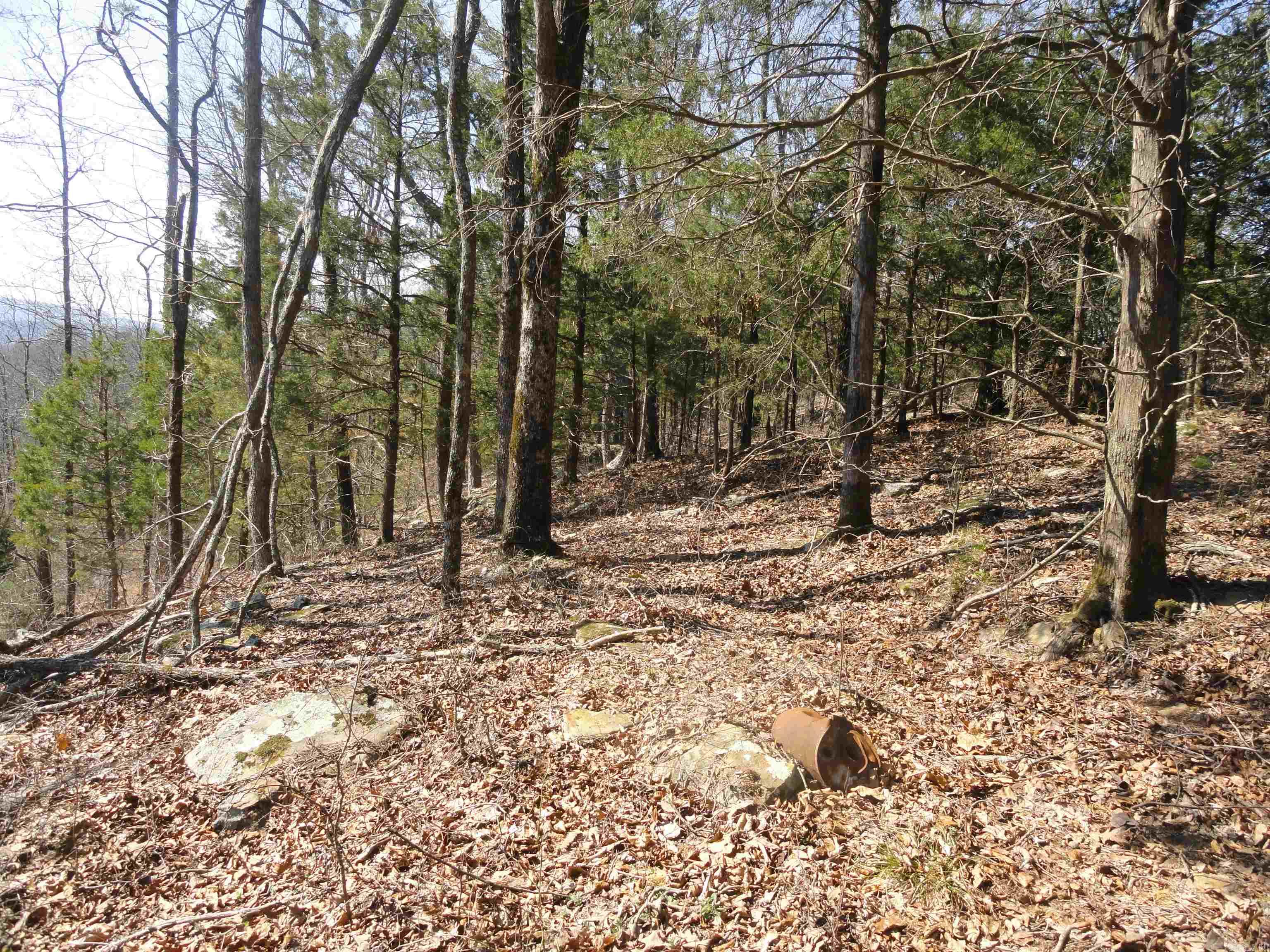 Metes & Bounds - Land