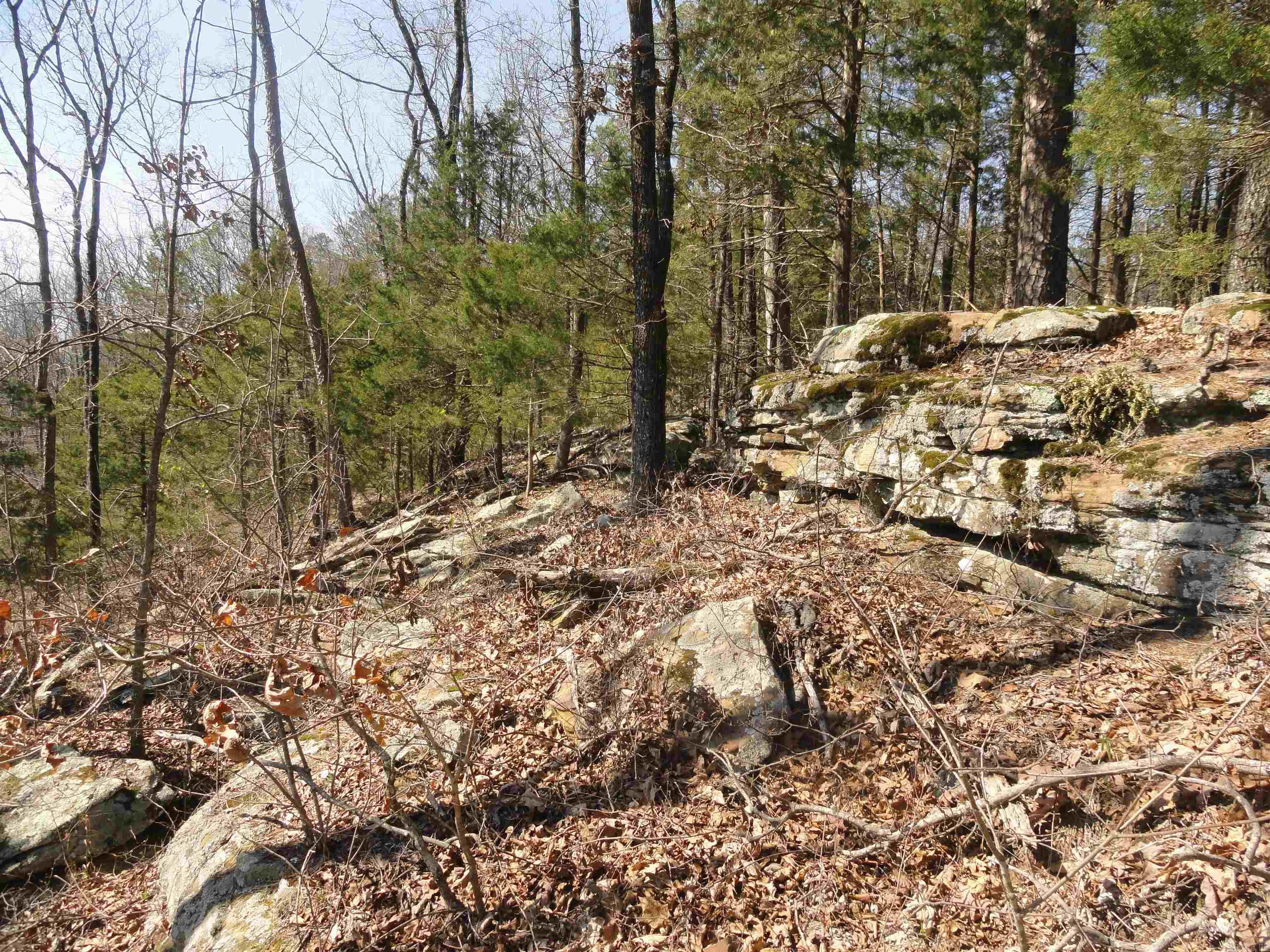 Metes & Bounds - Land