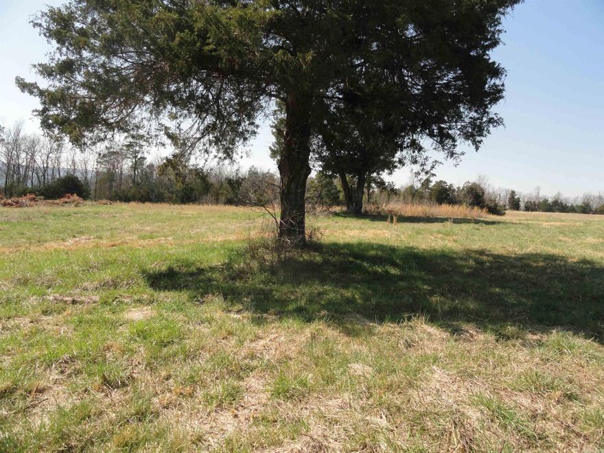 12 “unrestricted” acres with paved, county road frontage with water and electric available. This property would make a great place to build a house or set up a small hobby farm for homesteading. This type of property doesn’t come along very often & has approximately 5 acres already cleared with established pastureland and ready for grazing for a few head of cattle or a couple of horses. With some clearing, you could open up the wooded area to create a great view of the distant mountains. The property also has enough wooded area that you could hunt on your own land and cut firewood if needed. The electric lines and water lines are at the county road. This property has so much to offer and is the type of property that many people are looking for. New survey. More pictures soon.