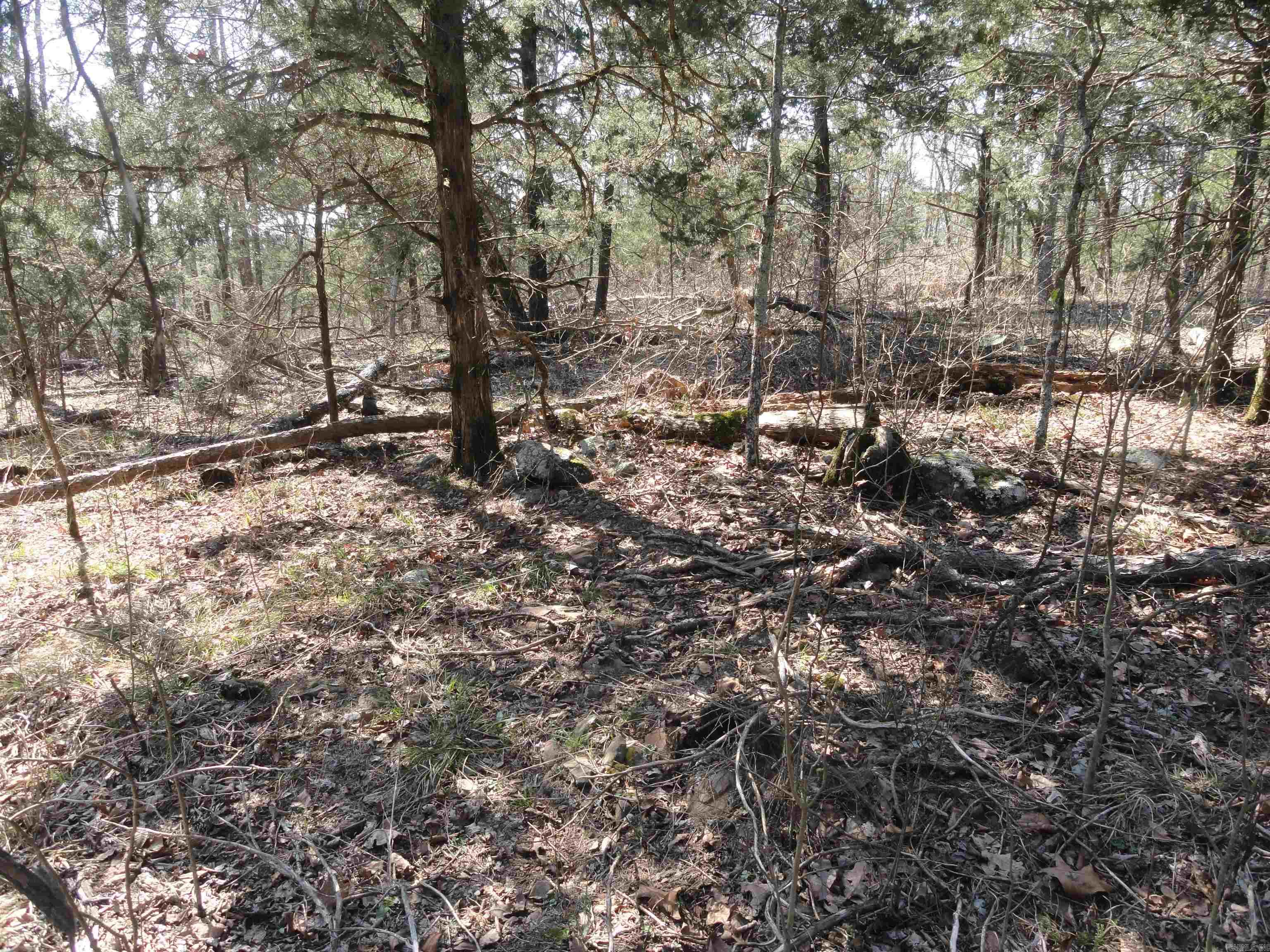 Metes & Bounds - Land