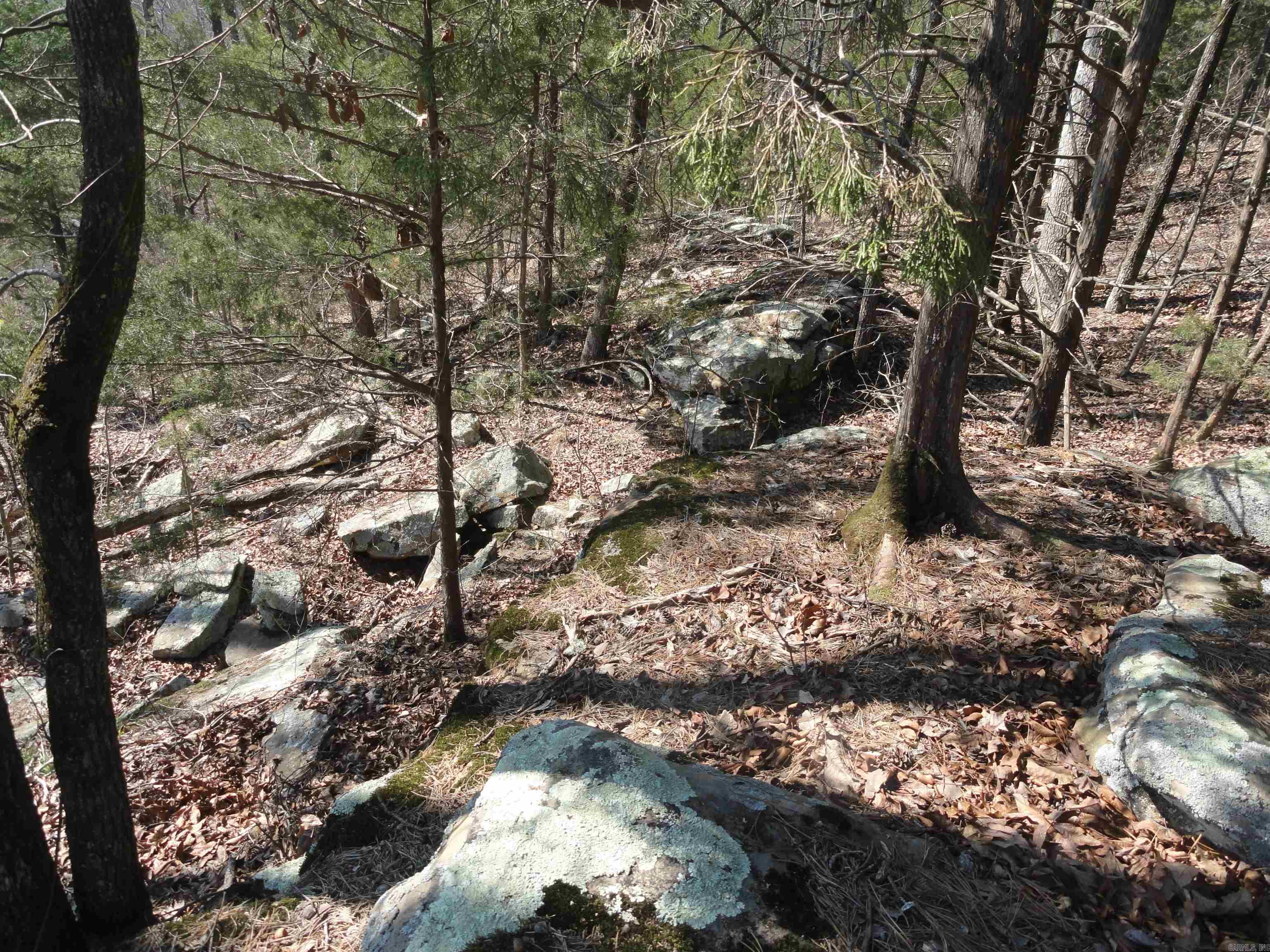 Metes & Bounds - Land