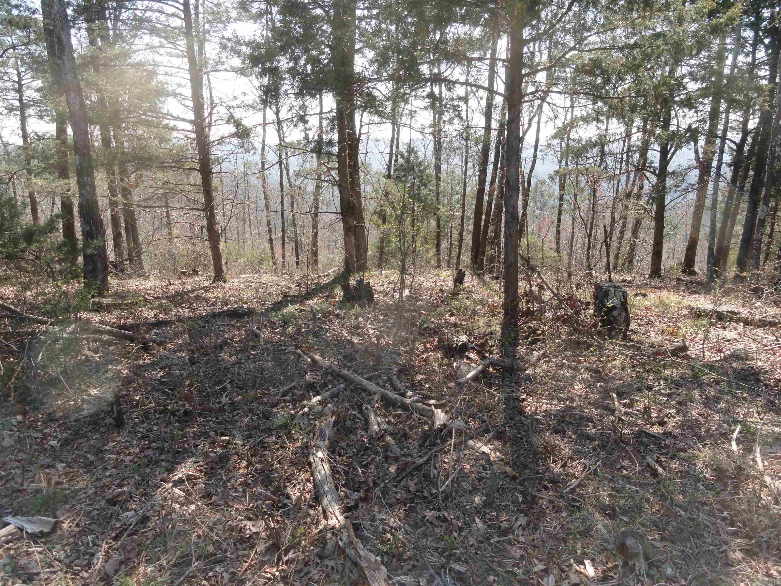 Metes & Bounds - Land