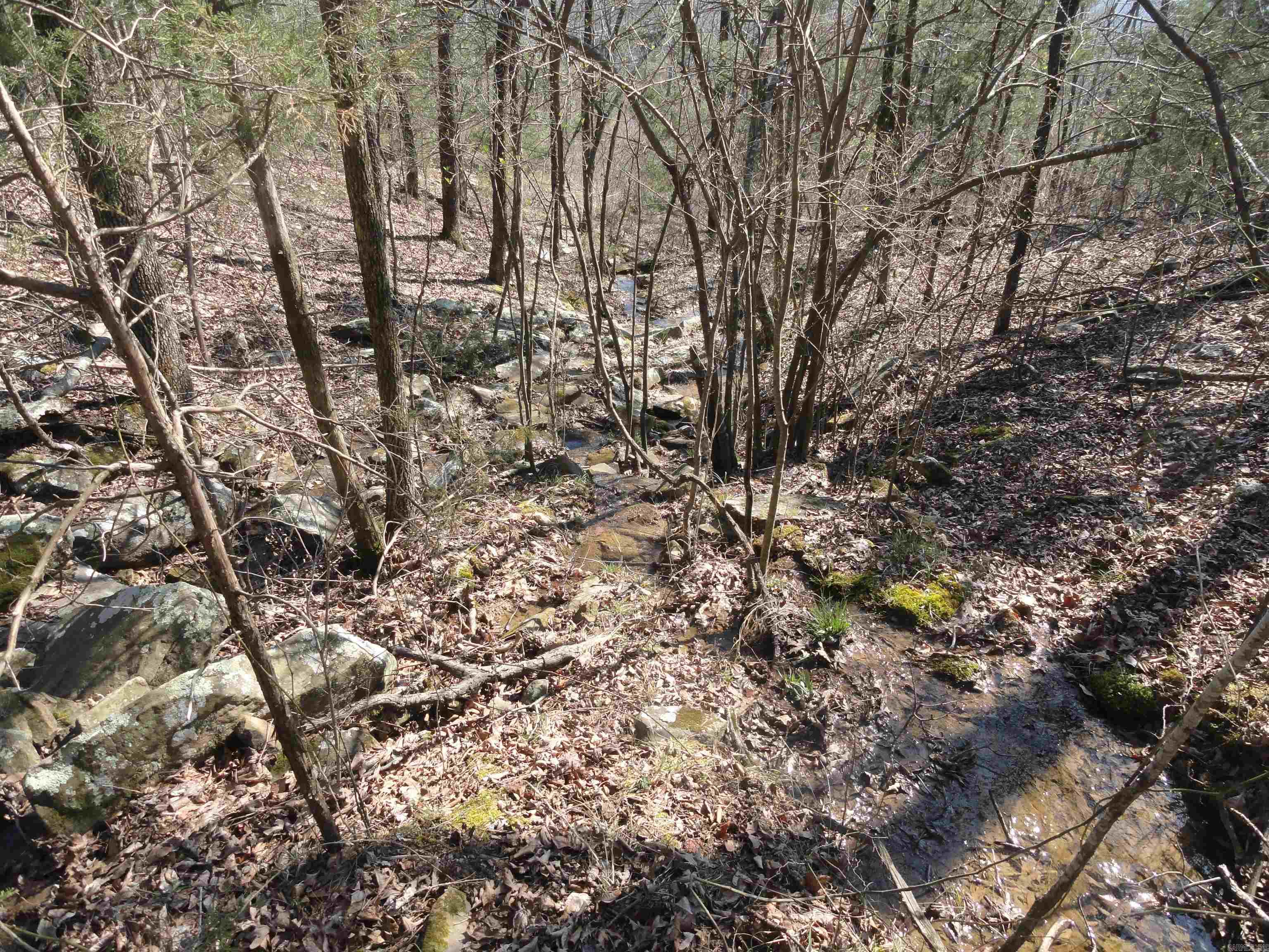 Metes & Bounds - Land