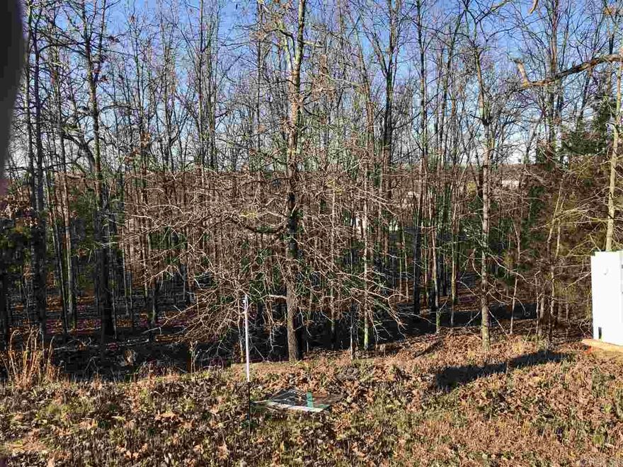 Beautiful wooded lot on the Boulevard of Greystone!  Enjoy mother nature to surround your custom home.  2400 SF minimum.   See survey on docsonline. Search by map for location of lot.