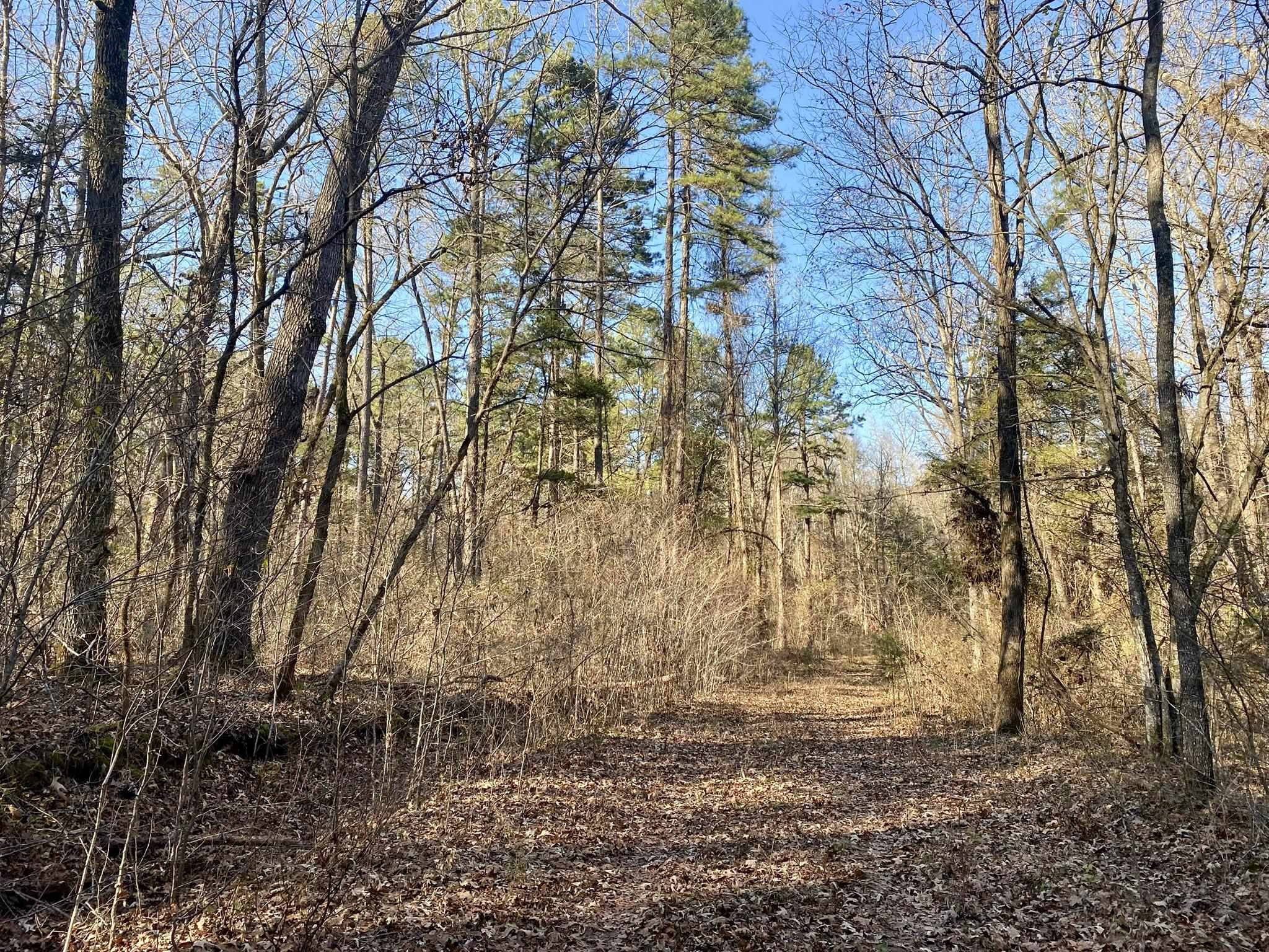 This 23.5-acre property, located near Mountain View, Arkansas, adjoins the Ozark National Forest on two sides, offering a rare opportunity for outdoor enthusiasts. It even touches the back side of the National Forest's Sylamore Bike and Hiking Trail. The land is made up of big timber, offering the ideal place for hunting. The property has Highway 5 frontage, providing convenient and easy road access. In addition, this property is situated close to the White River, the Ozark Folk Center, Blanchard Springs Caverns, and the town of Mountain View, Arkansas. This 23.5 acres is a rare find, priced to sell at $176,000.