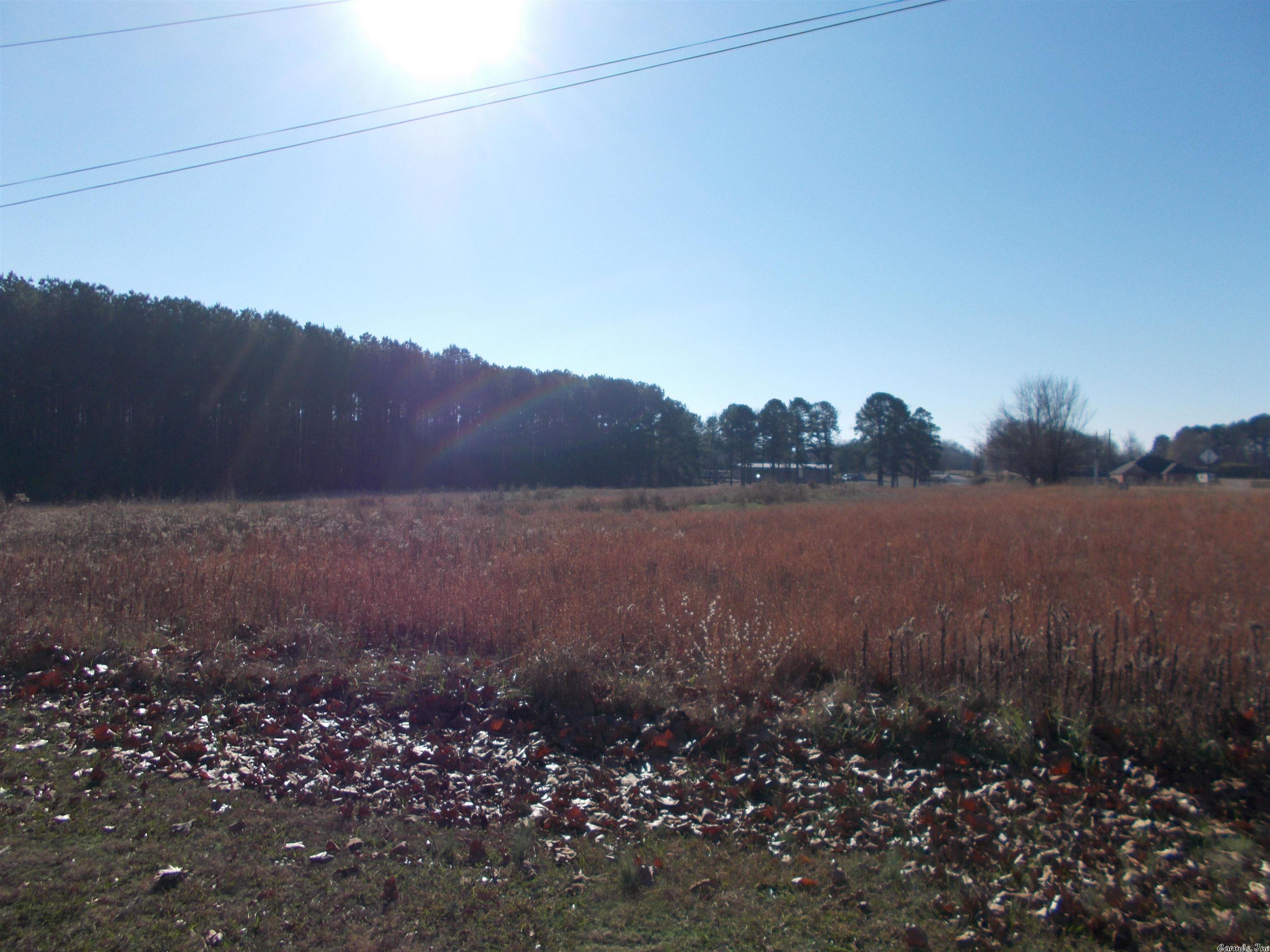 Approximately 40 acres prime partially cleared land South of Cabot. Development opportunity. Commercial, residential, multi-family or farm. Not in city limits. Corner of hwy 89 South and Oglesby Road. Survey available.