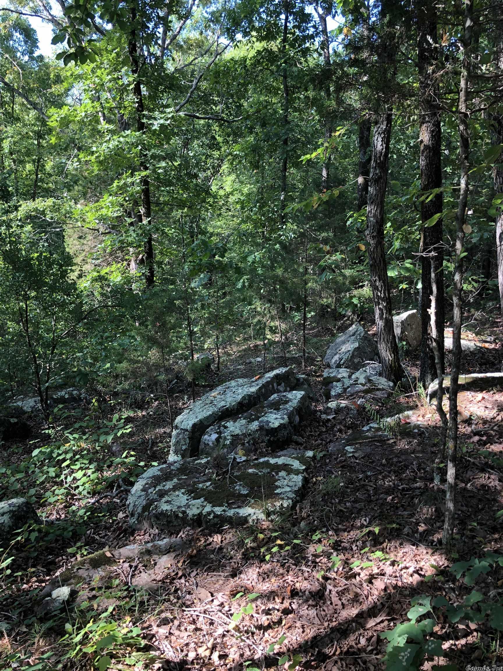 Not in Subdivision - Land