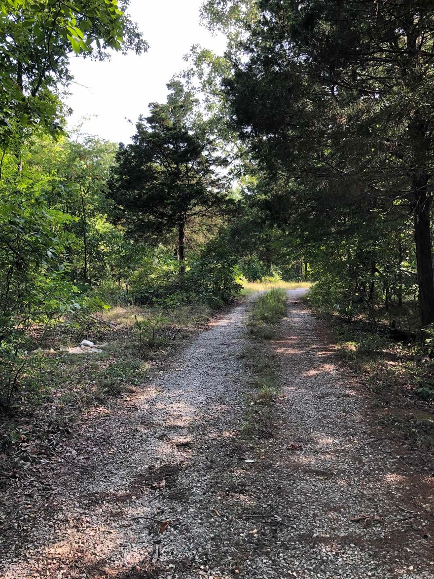 This property would be a great place to put an RV, Mobil Home or Cabin. There are no Restrictions and water meter is on the property. Electric is available and internet. Less than 15 minutes to Mountain View. The property needs a little cleanup and the structure on the property is not inhabitable, however the price is right. There is a road through most of the property and there are some nice Rock Outcroppings.